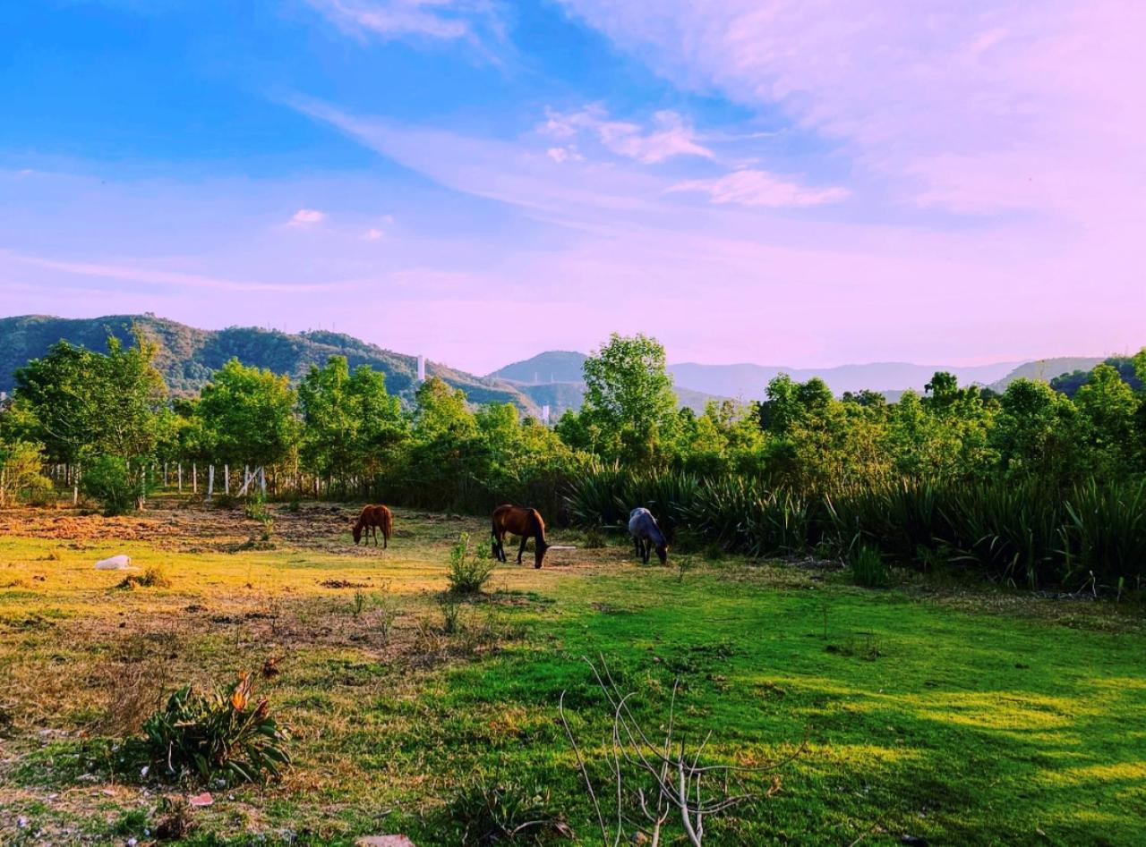 Rancho Reencuentro Eco & Cabalgatas * Valle de Bravo