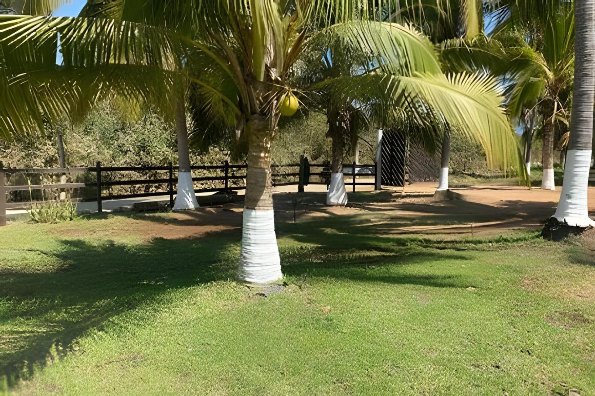 Resort Casa Palmas Playa La Saladita Zihuatanejo