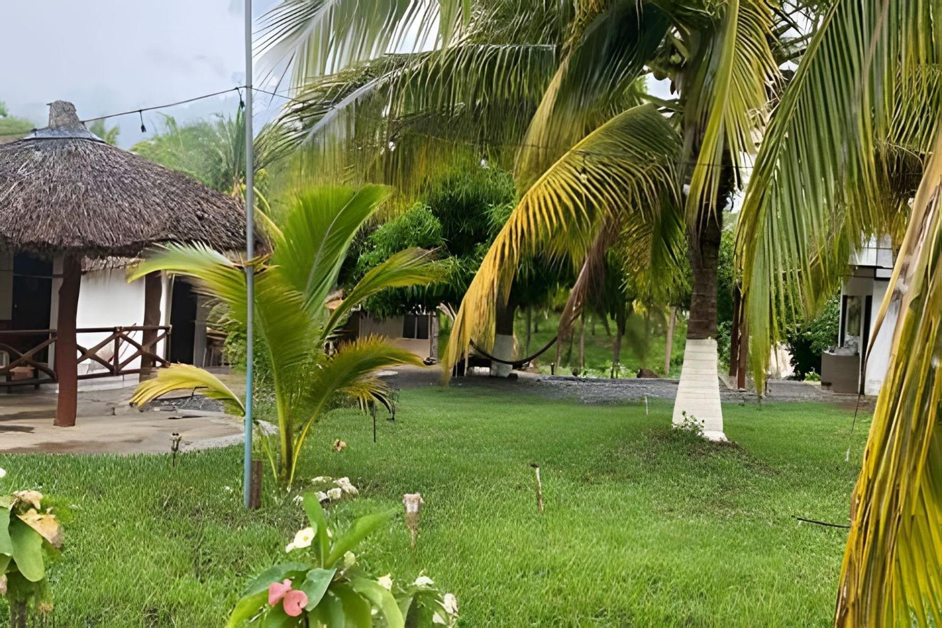 Casa Palmas Playa La Saladita Zihuatanejo