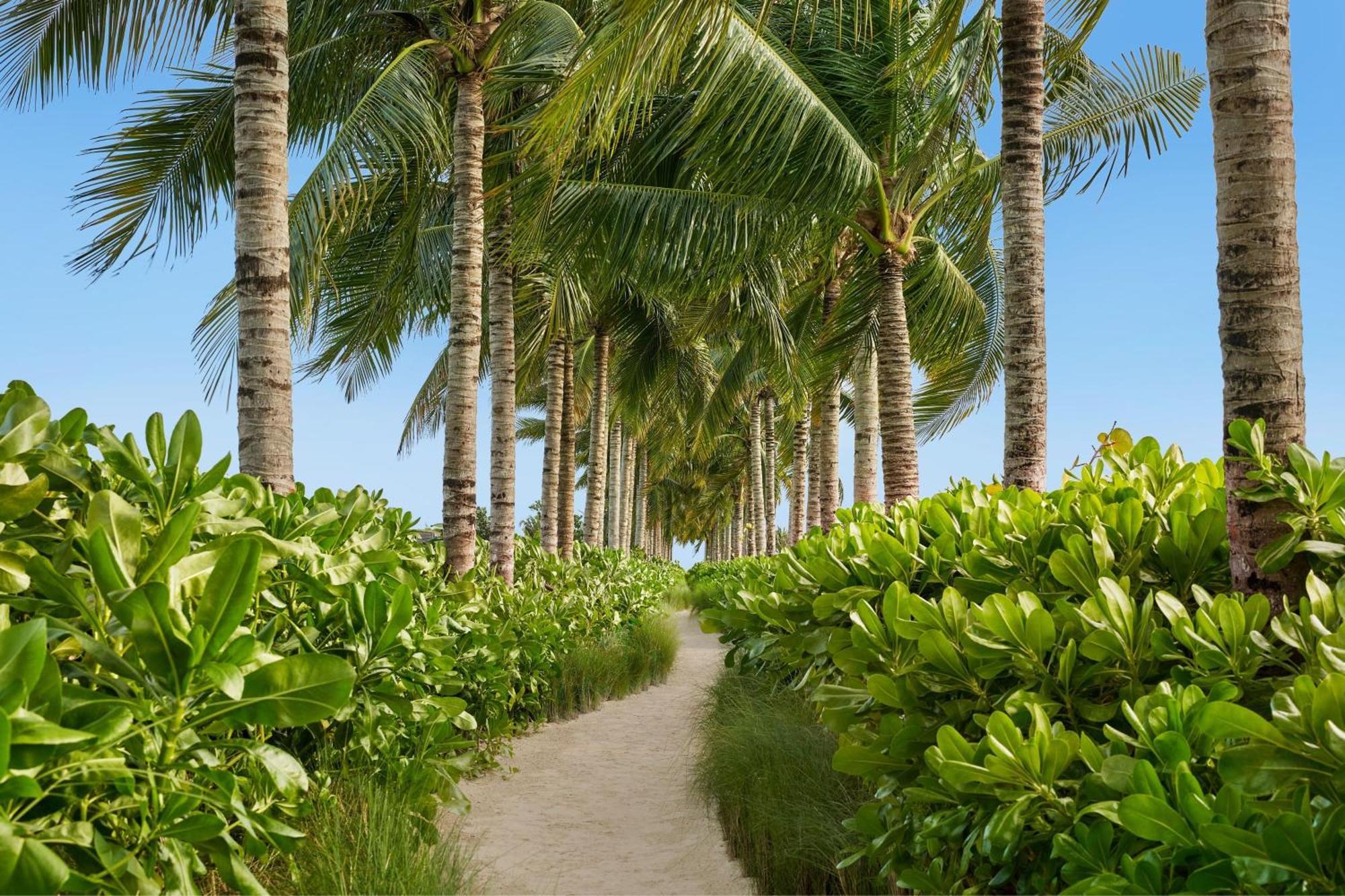 The Riviera Maya Edition At Kanai