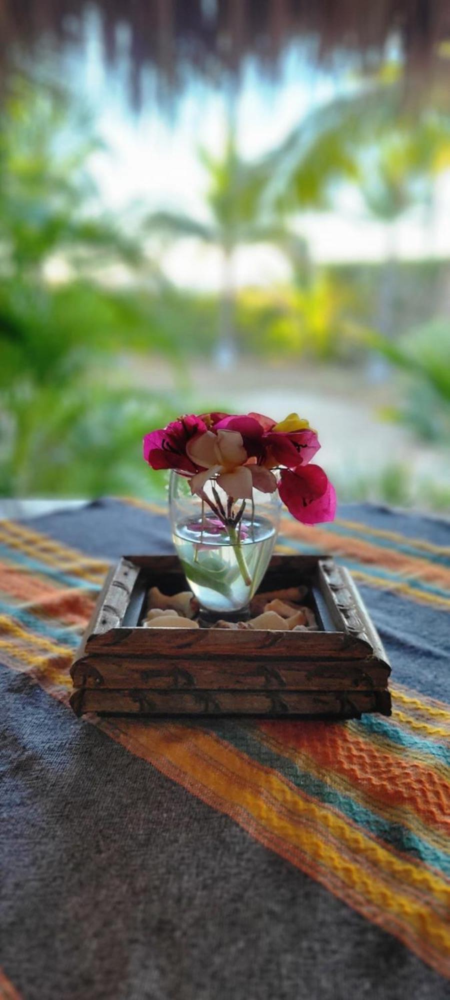 Hotel Ocean Oasis - Adult Only, Four Casitas Boutique Agua Blanca