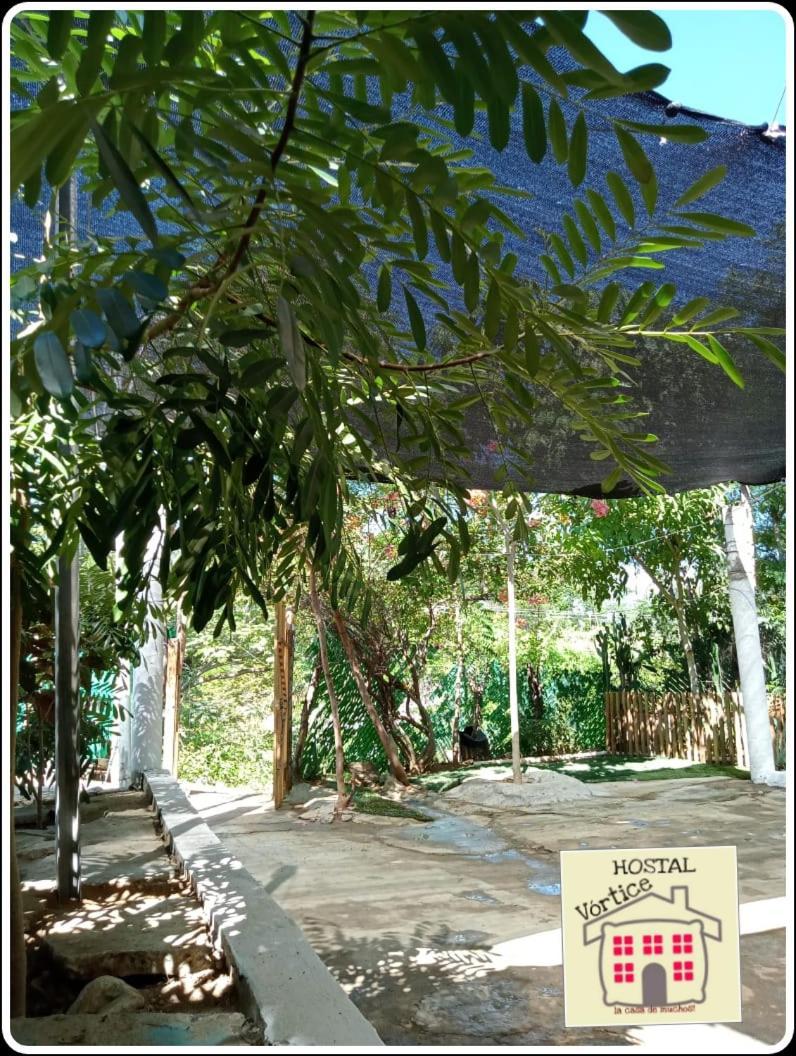 En Renta Toda Casa En Puerto Angel Oaxaca Un Grupo De Personas Holiday home