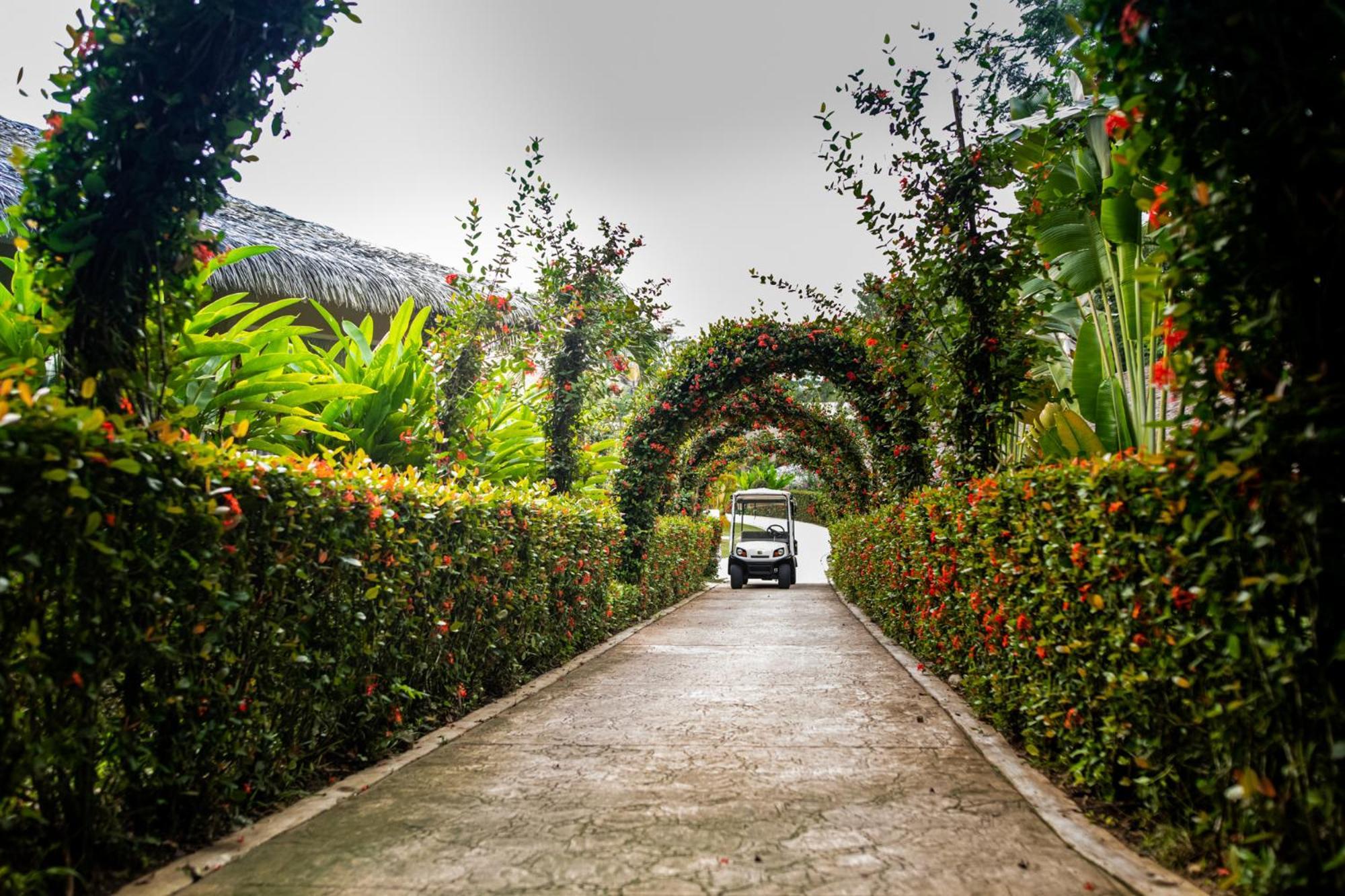 Mercedes 5* Palenque