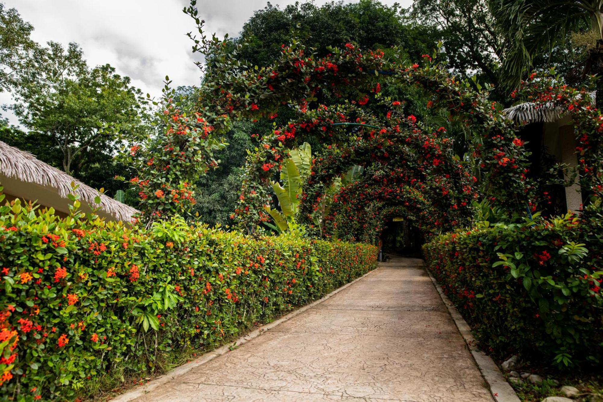 Mercedes Hotel Palenque