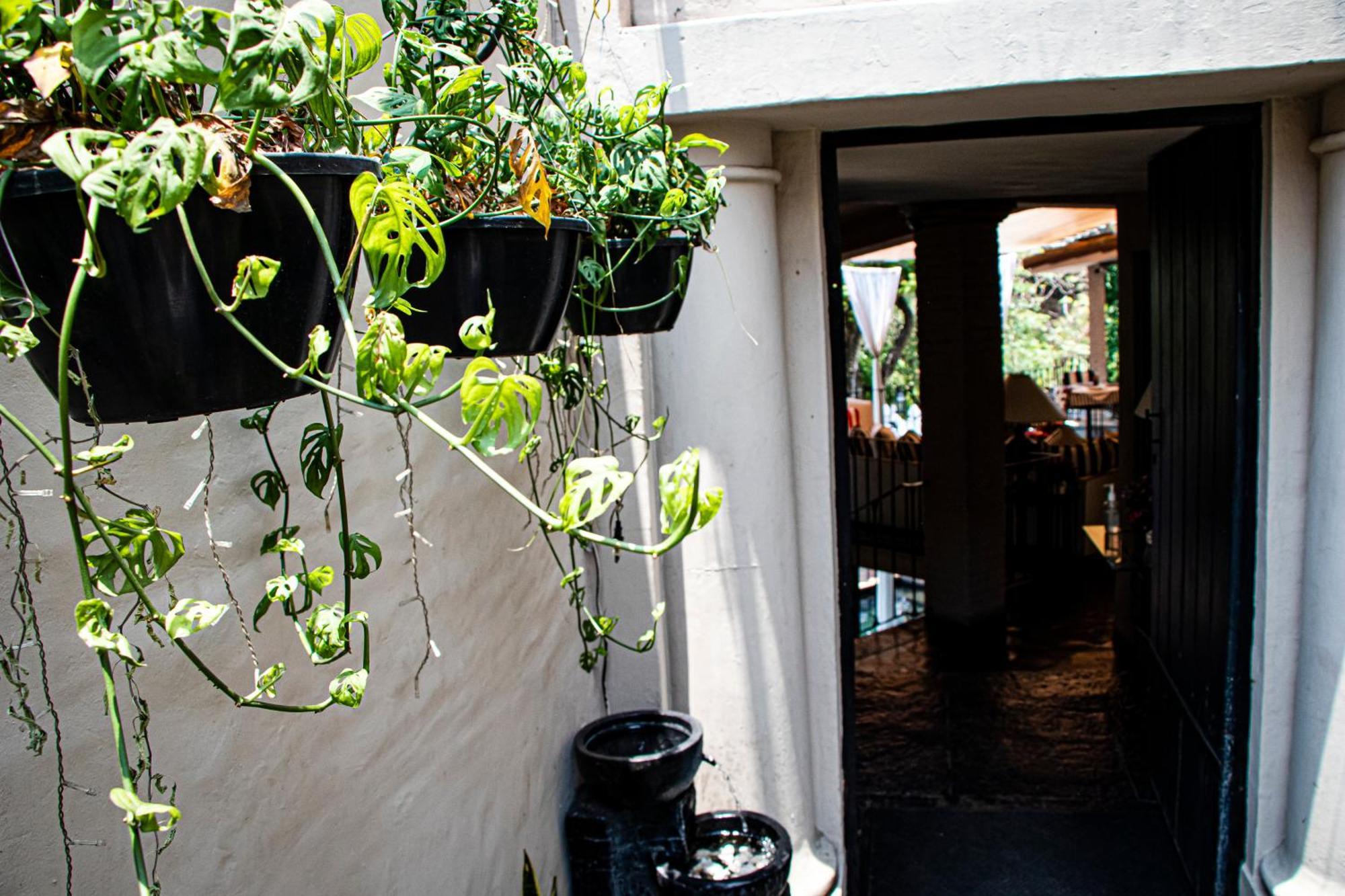 Hotel Il Piccolo Peccato (adults Only) Cuernavaca