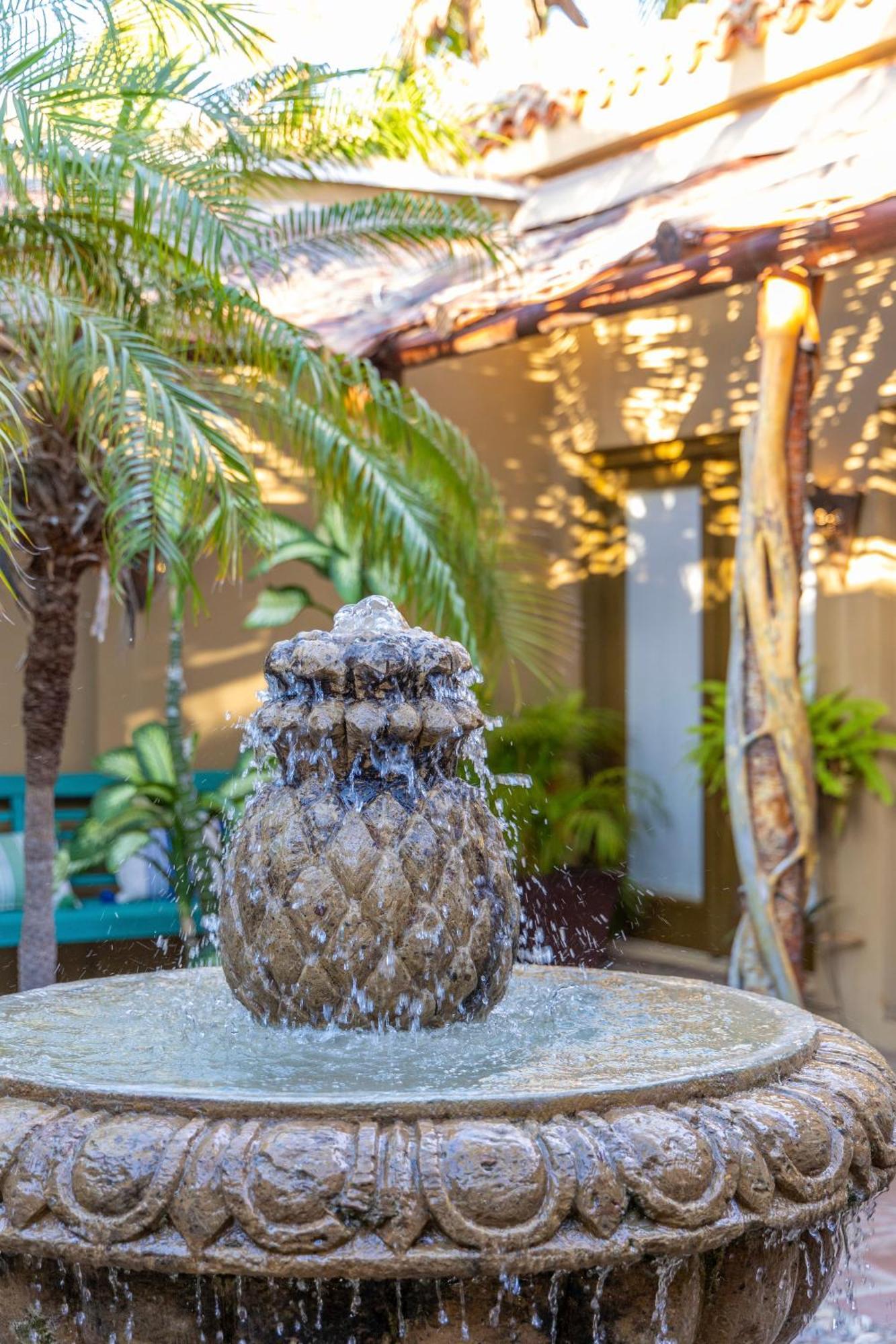 Vida Cabo - Authentic Spacious Ocean View Near & Town Villa San Jose del Cabo