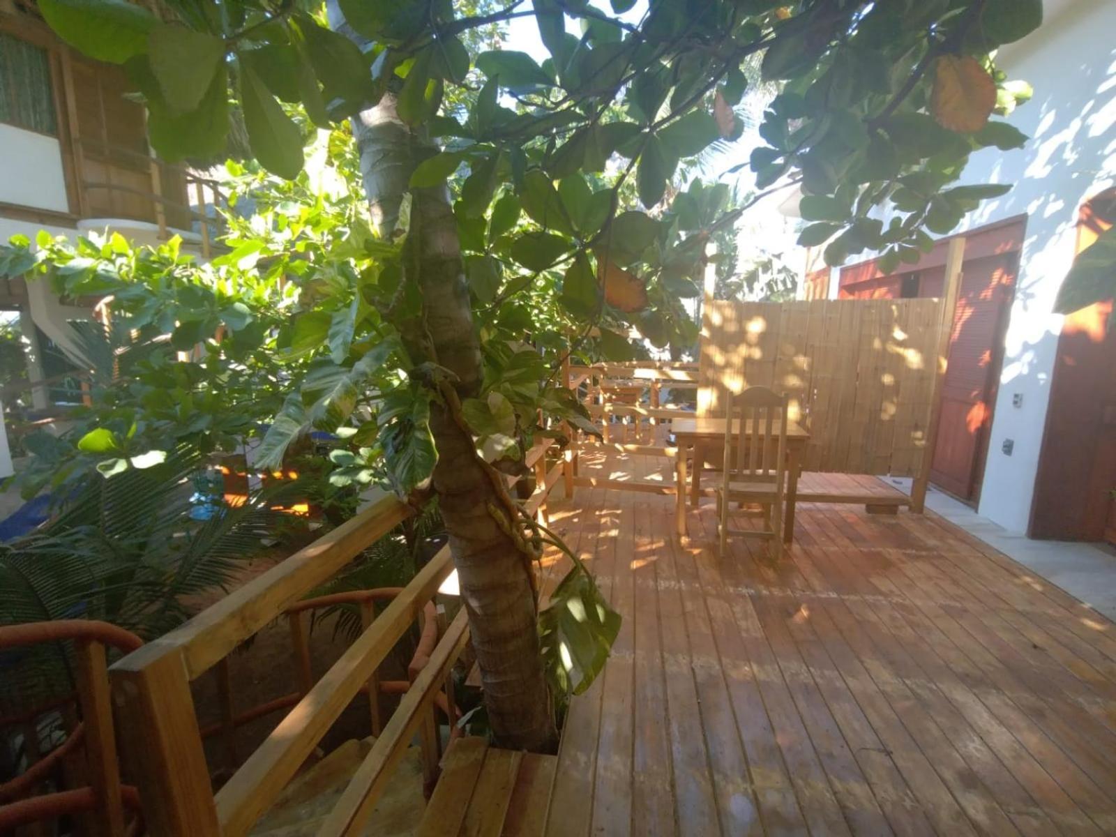 Bambu Ecocabanas *