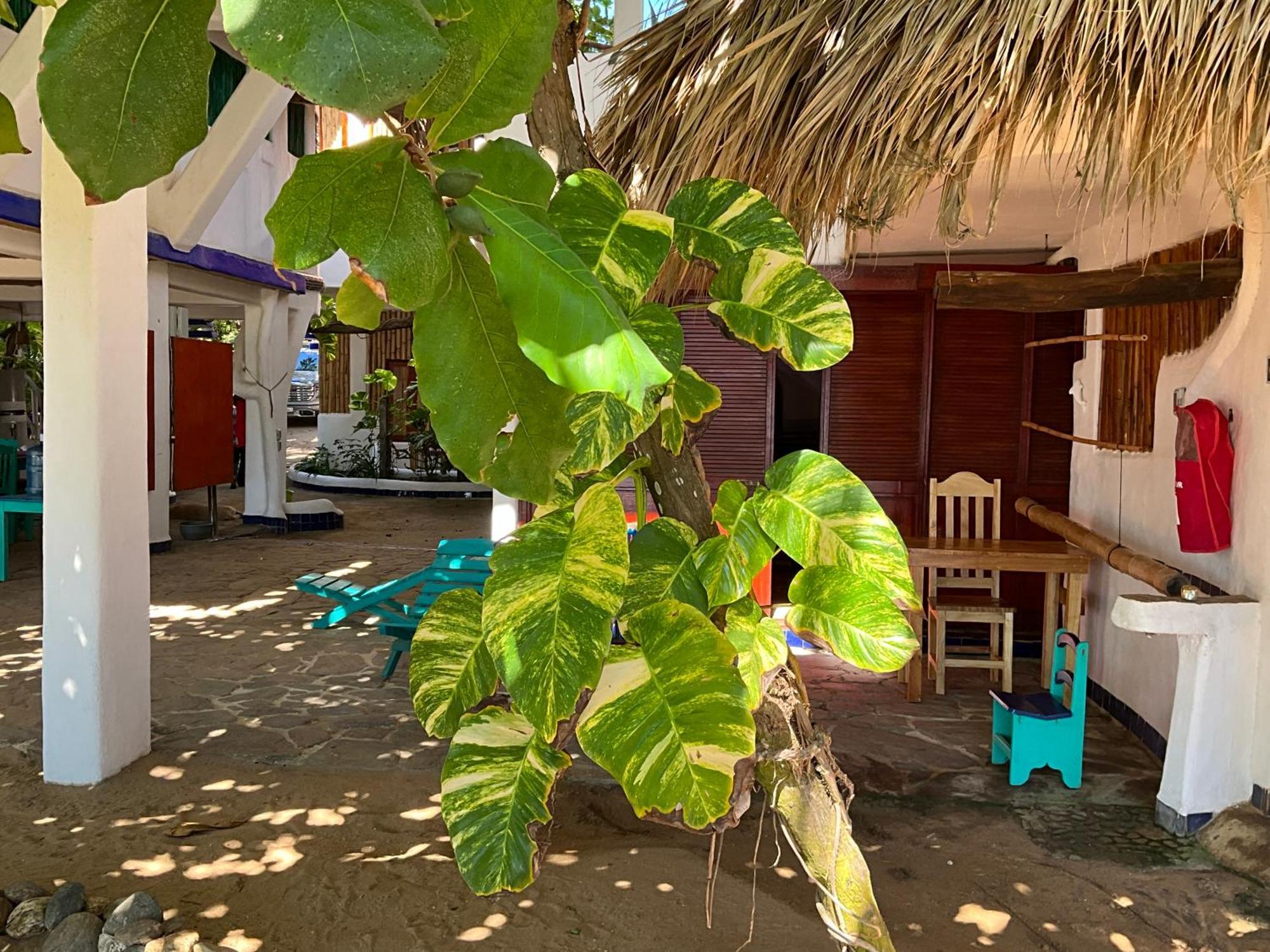Lodge Bambu Ecocabanas *