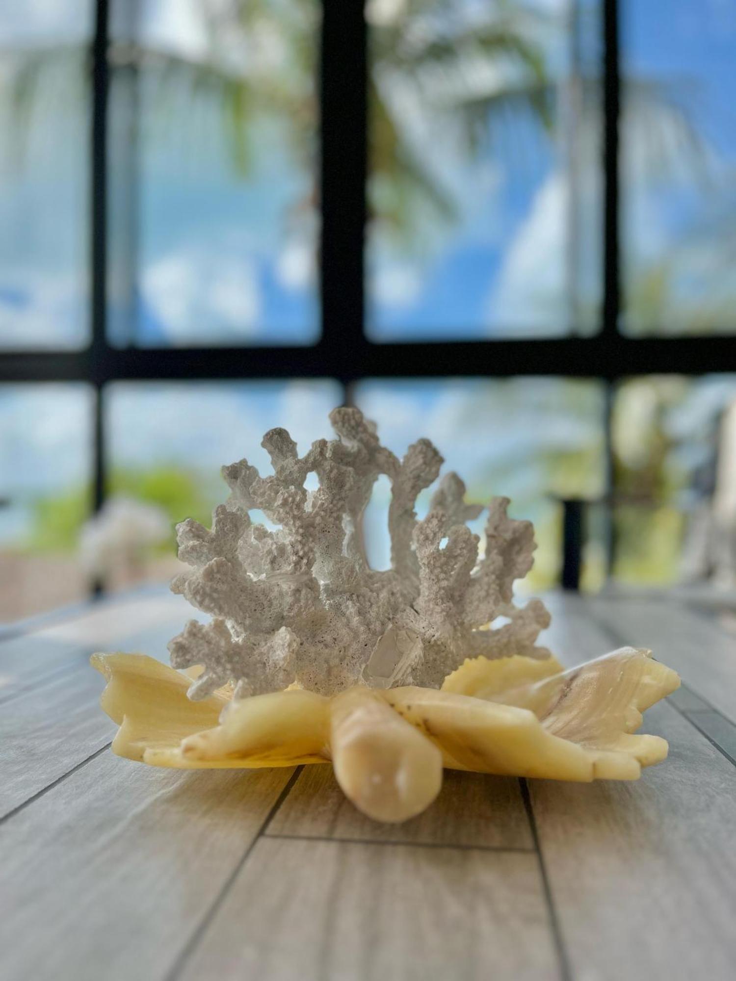 Bahia Tolok Isla Mujeres