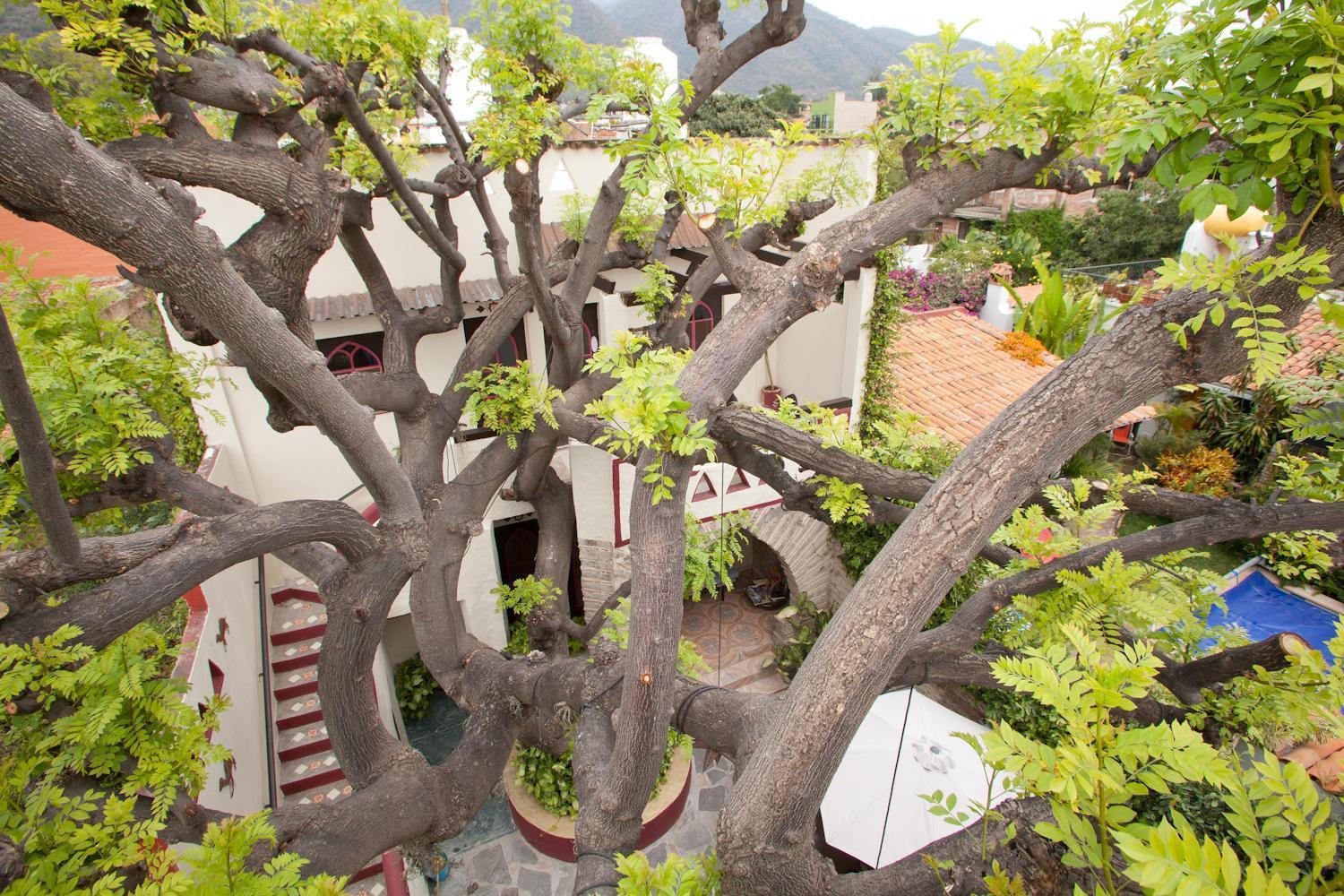 Casa Blanca Hotel Ajijic