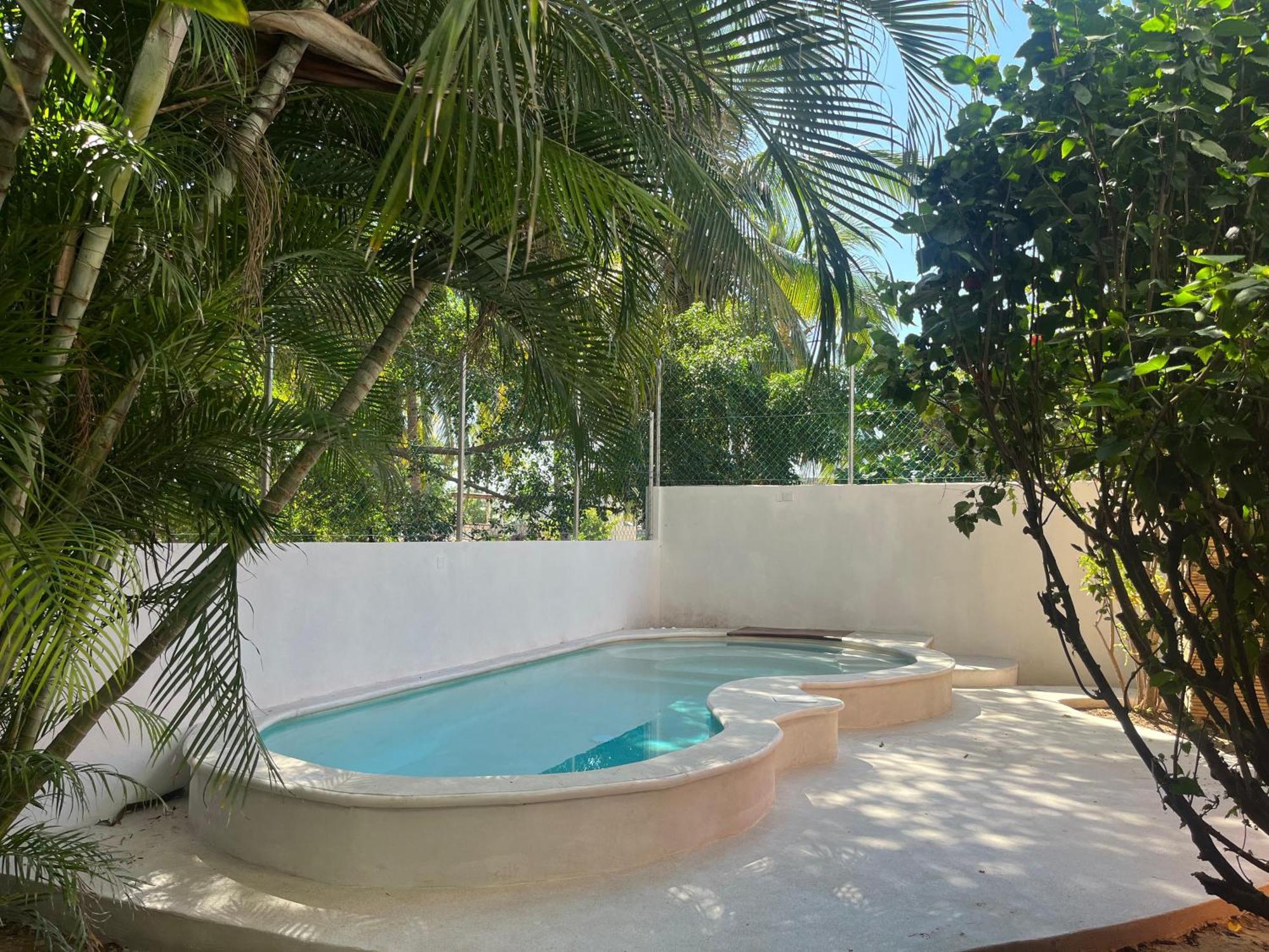 Casa Guadalupe - Big Oasis!