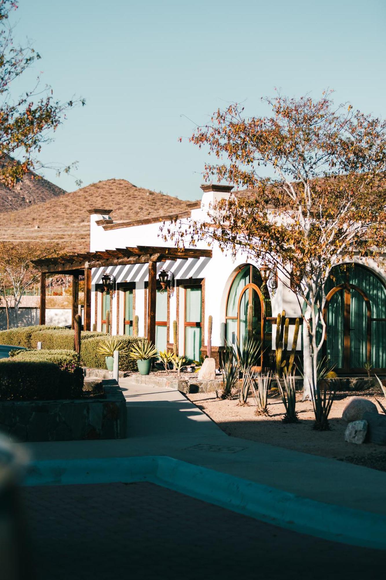 Hotel Orchid House Baja La Paz