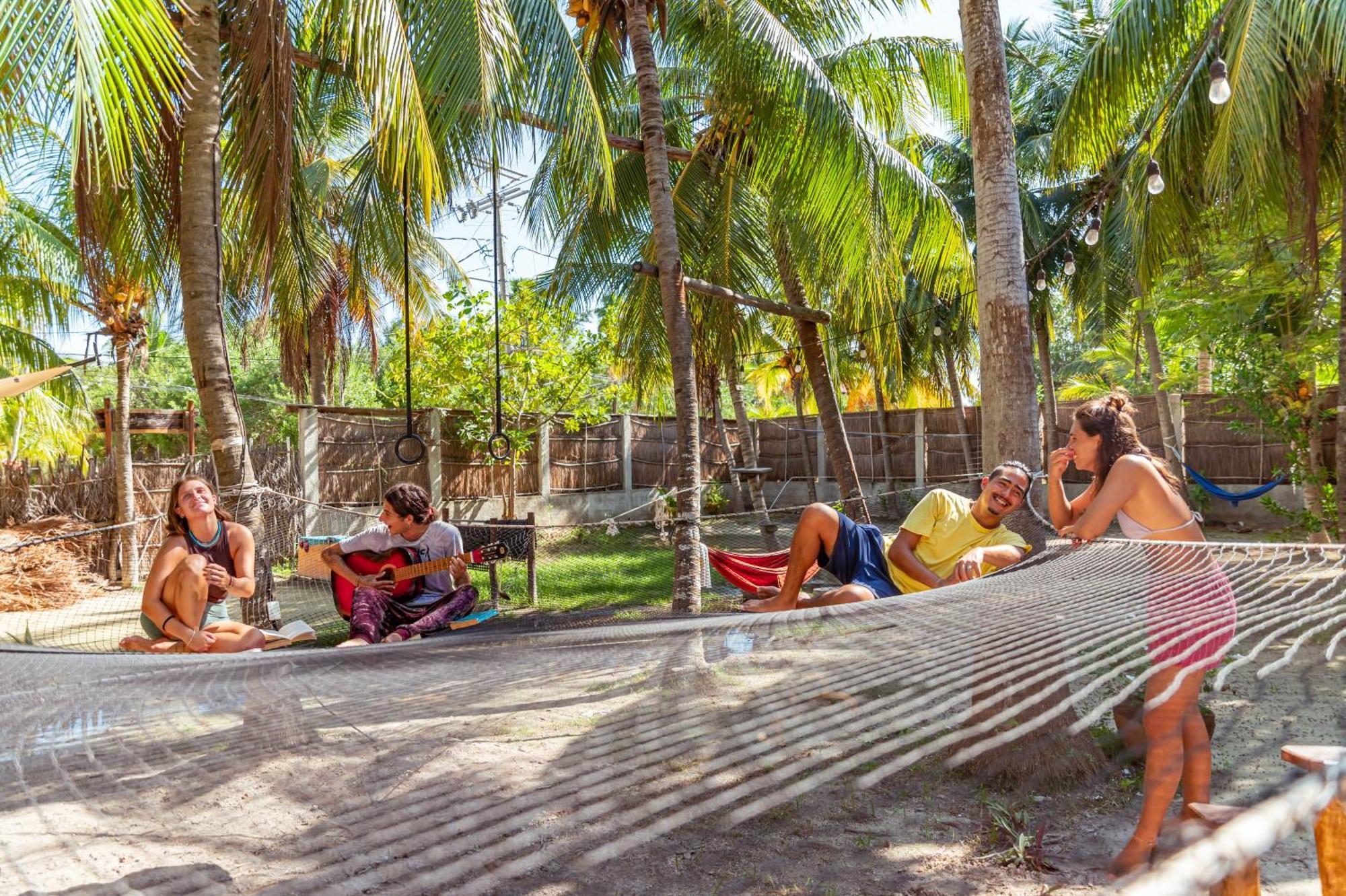 Tribu