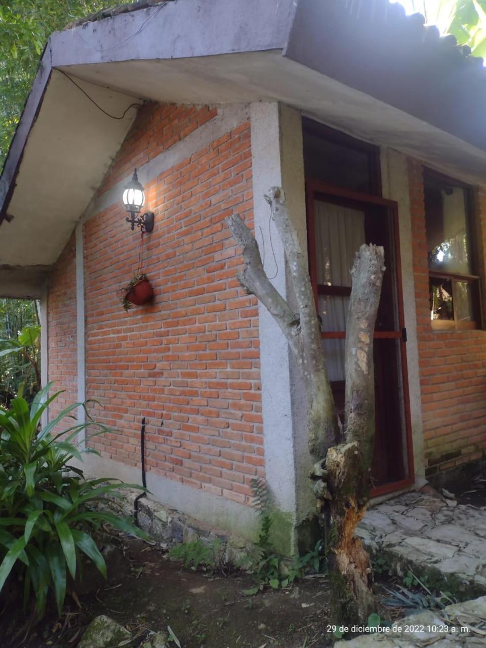 Hotel Boutique La Casona De Don Porfirio