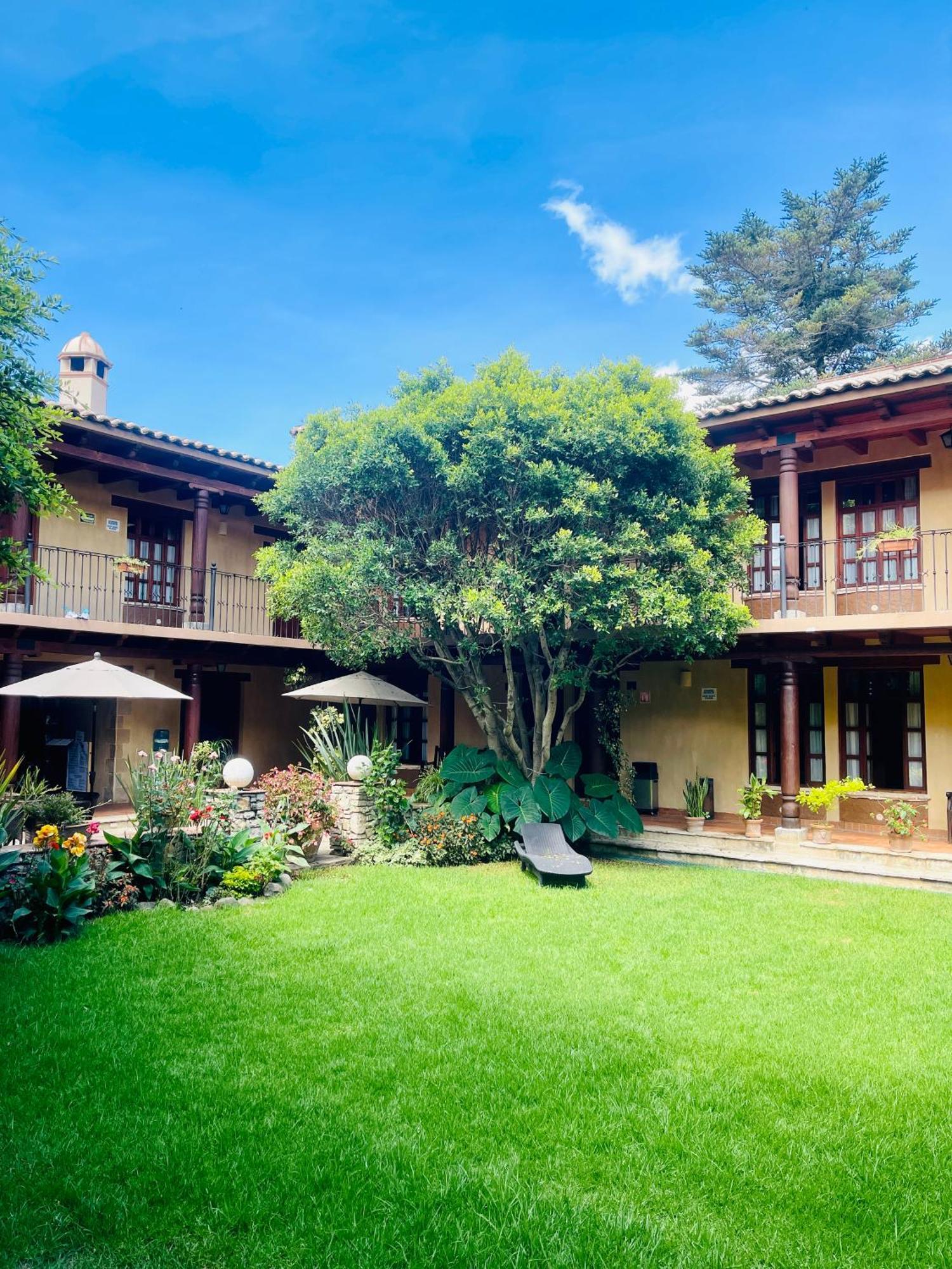 Margarita Hotel