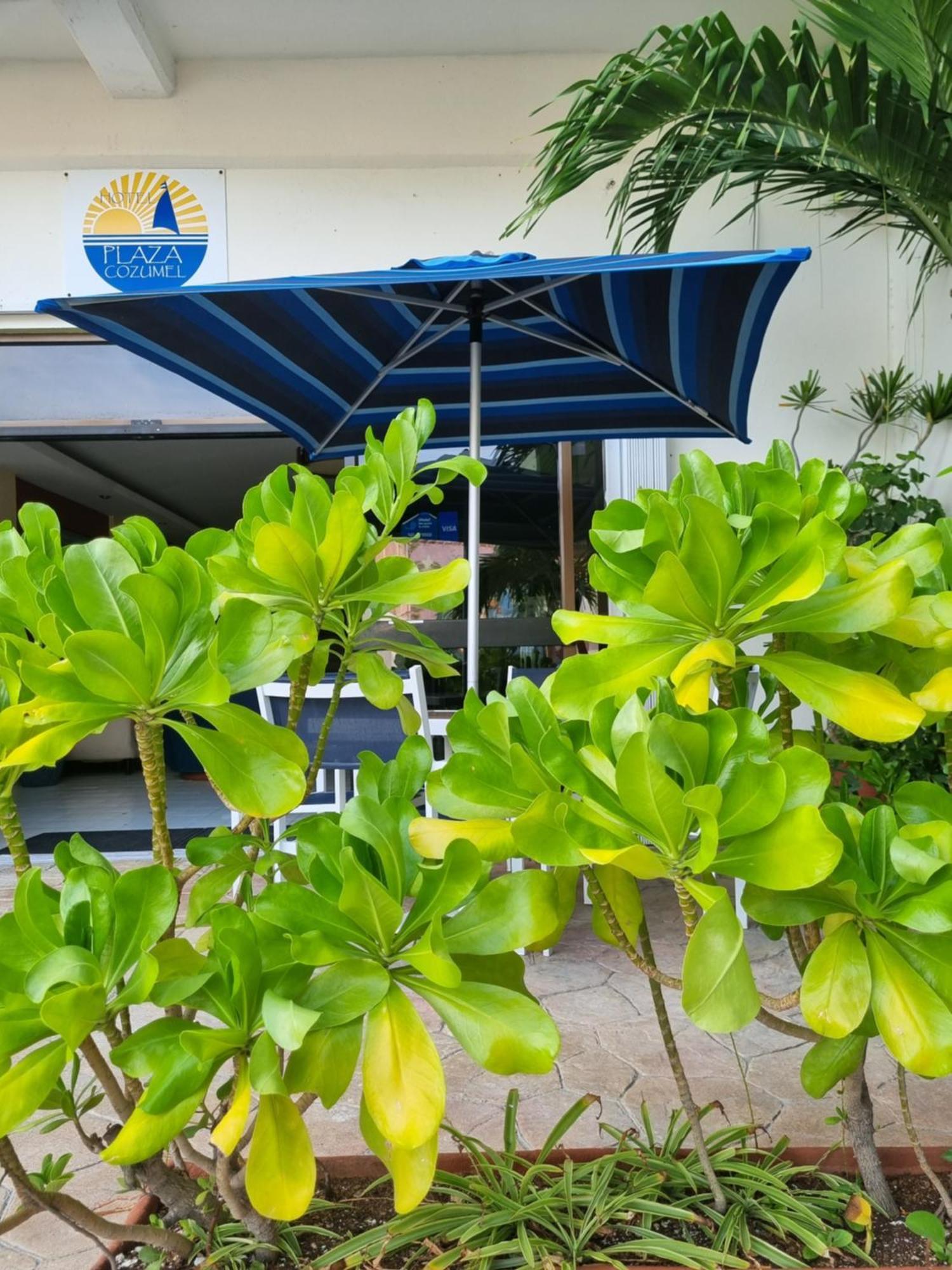 Hotel Plaza 3*