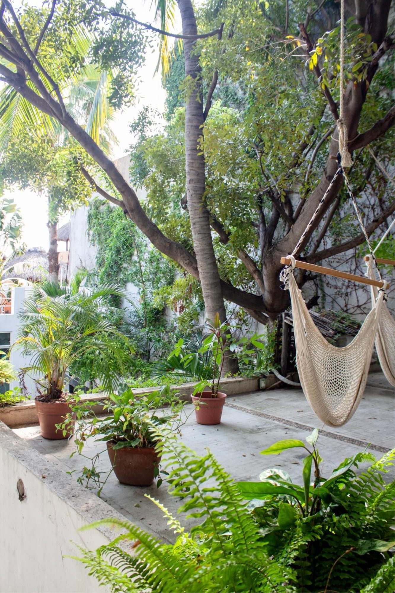 Casa Daikiri Puerto Escondido (Oaxaca)