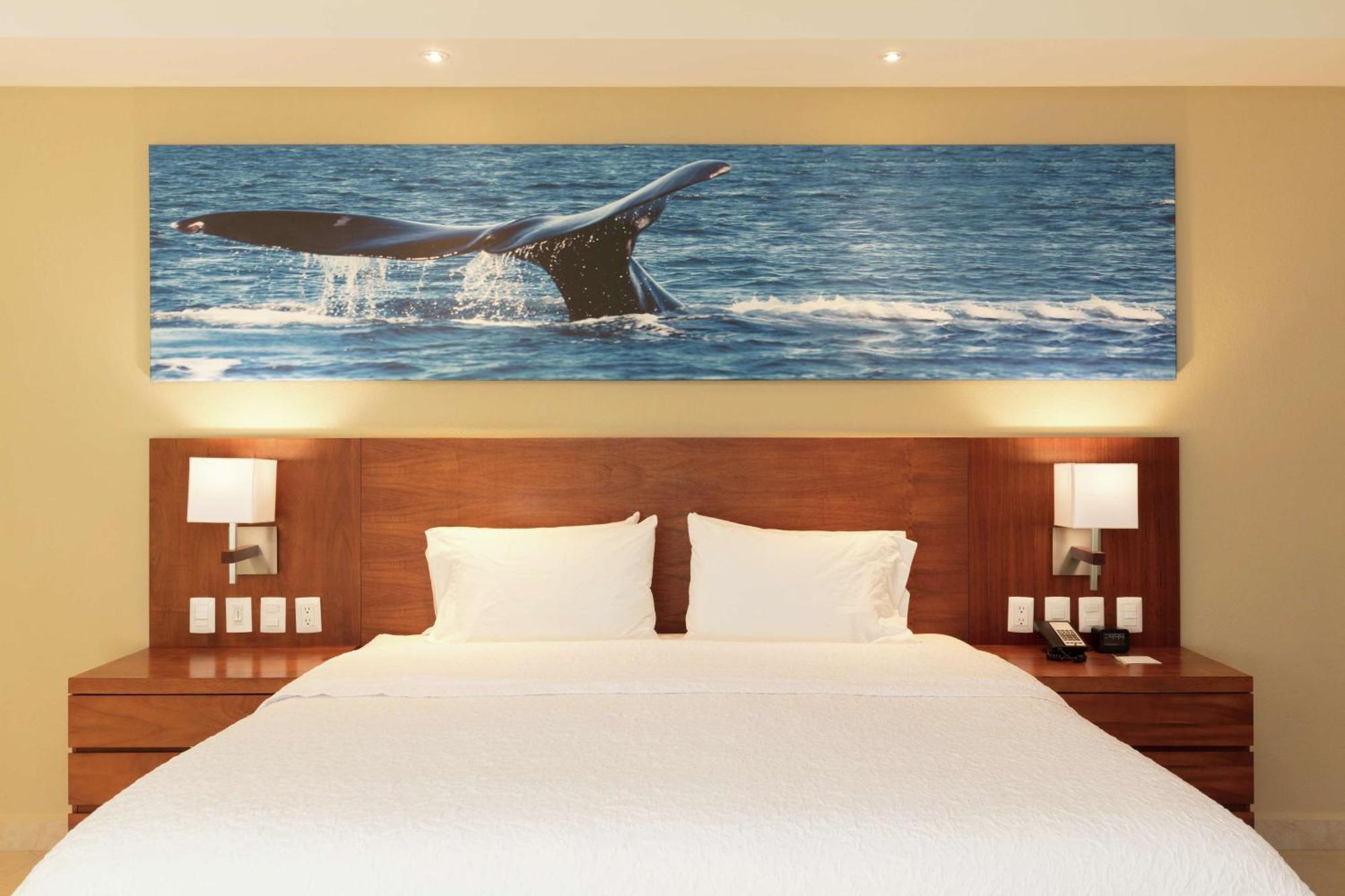Hampton & By Hilton Cabos Hotel