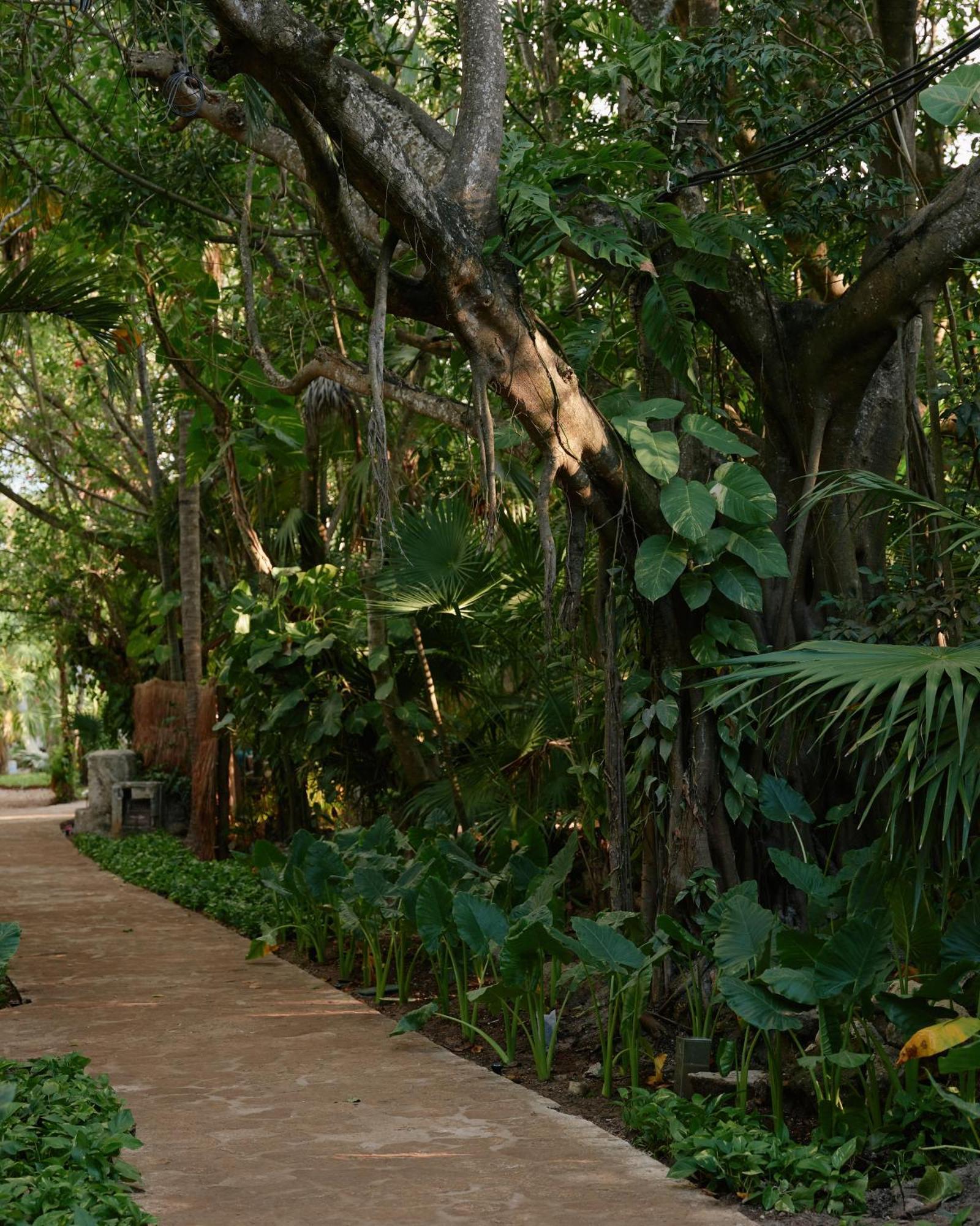 Resort Maroma, A Belmond Hotel, Riviera Maya