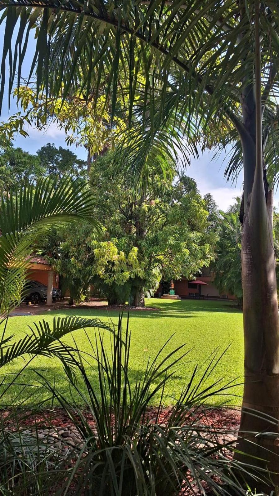 Hotel Palmareca Inn-suites-studio