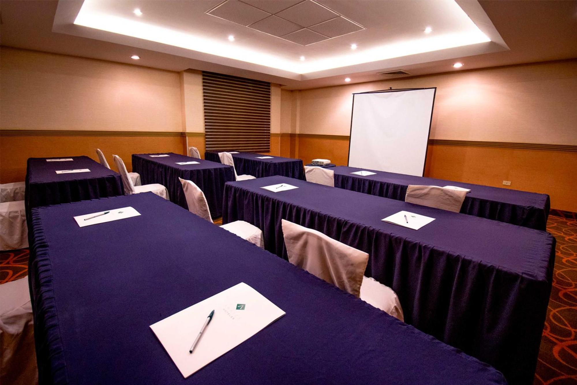 Hotel Araiza Palmira Y Centro De Convenciones 4*