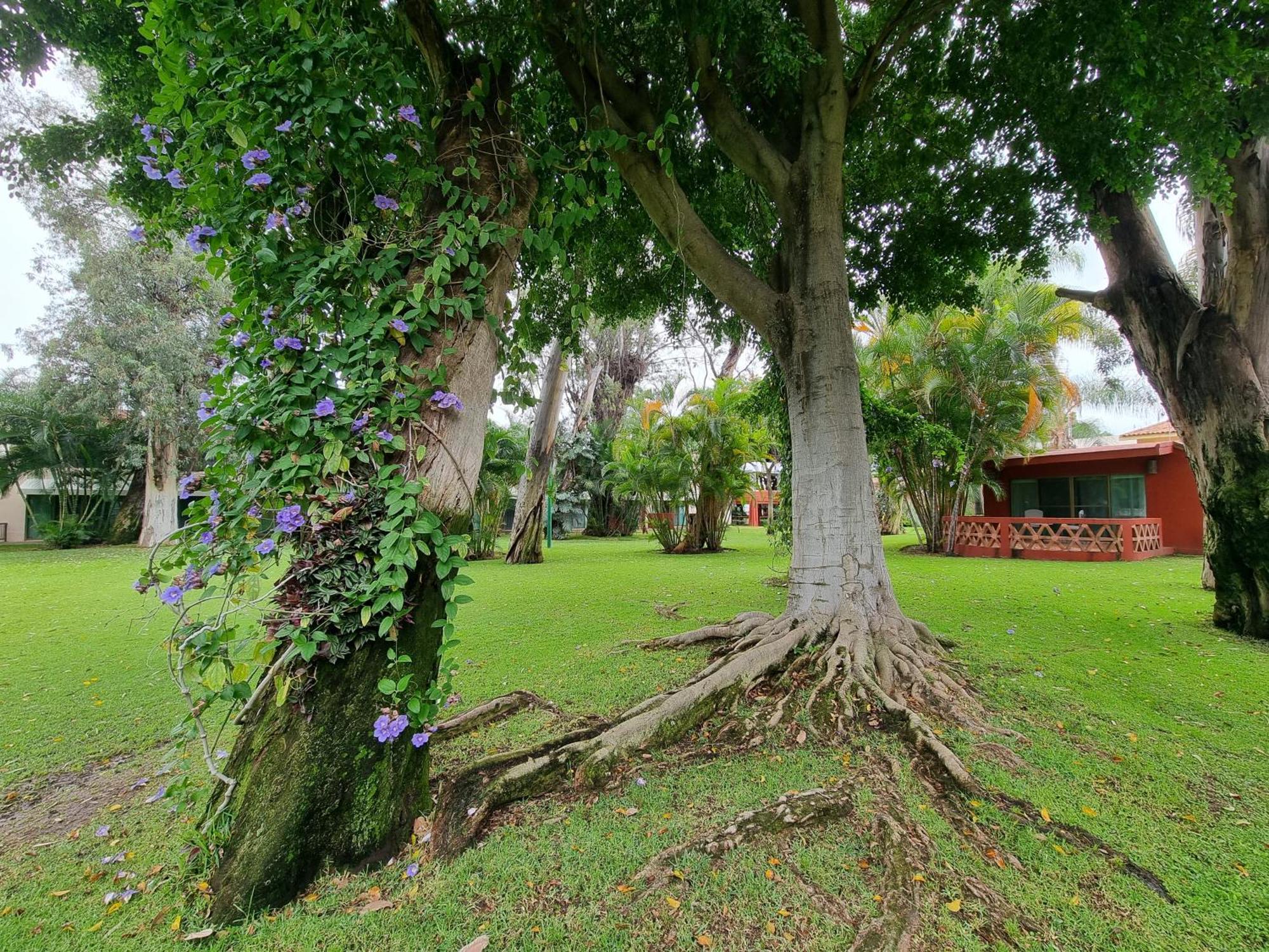 Hotel Real De Chapala