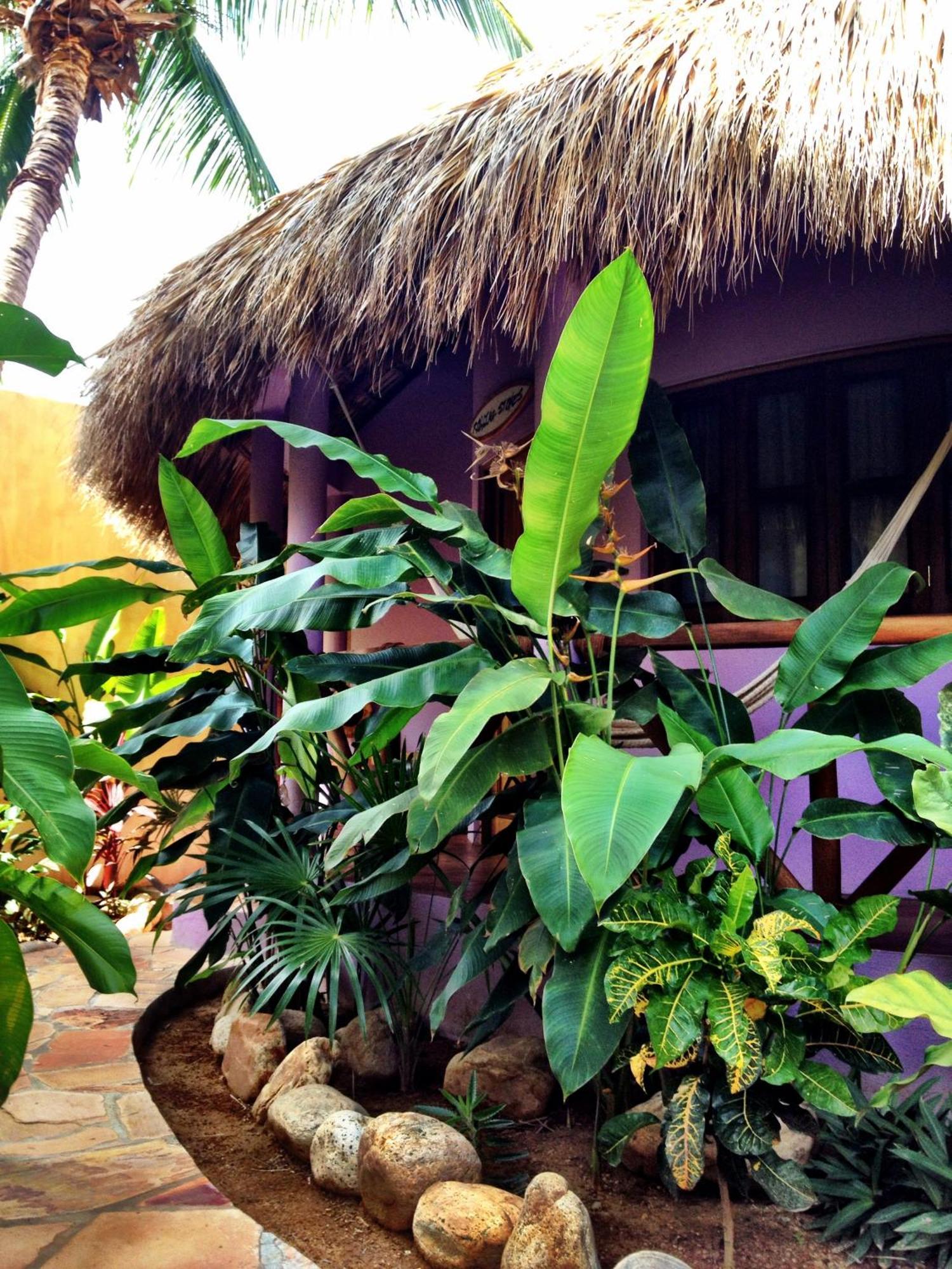 Aparthotel One Love Puerto Escondido (Oaxaca)
