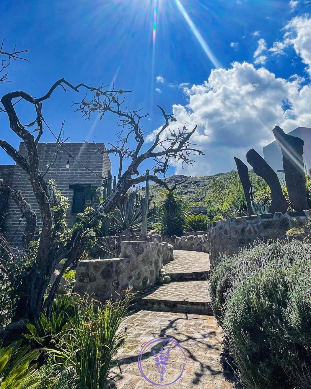 Lavanda Aldea Holistica Hotel San Miguel de Allende