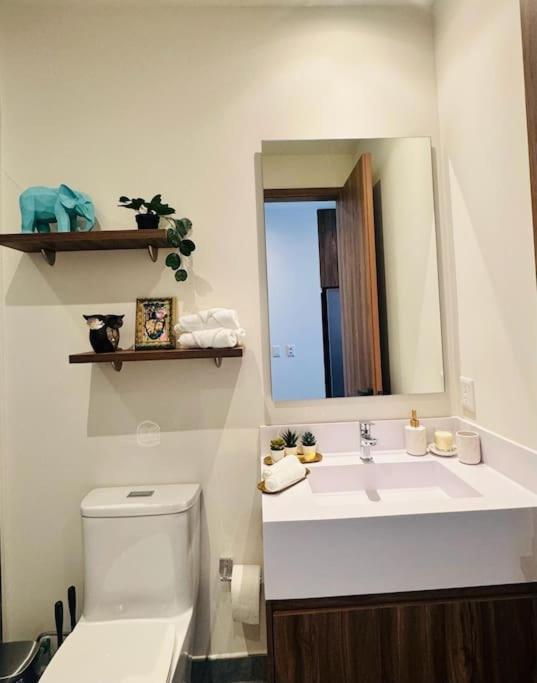 Apartment Luxury Loft In Reforma