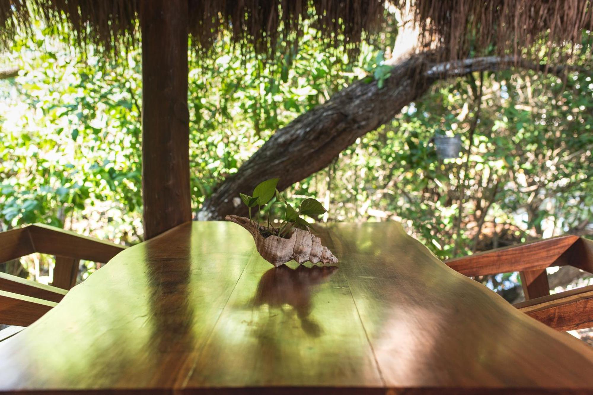 Casa Takywara Isla Holbox