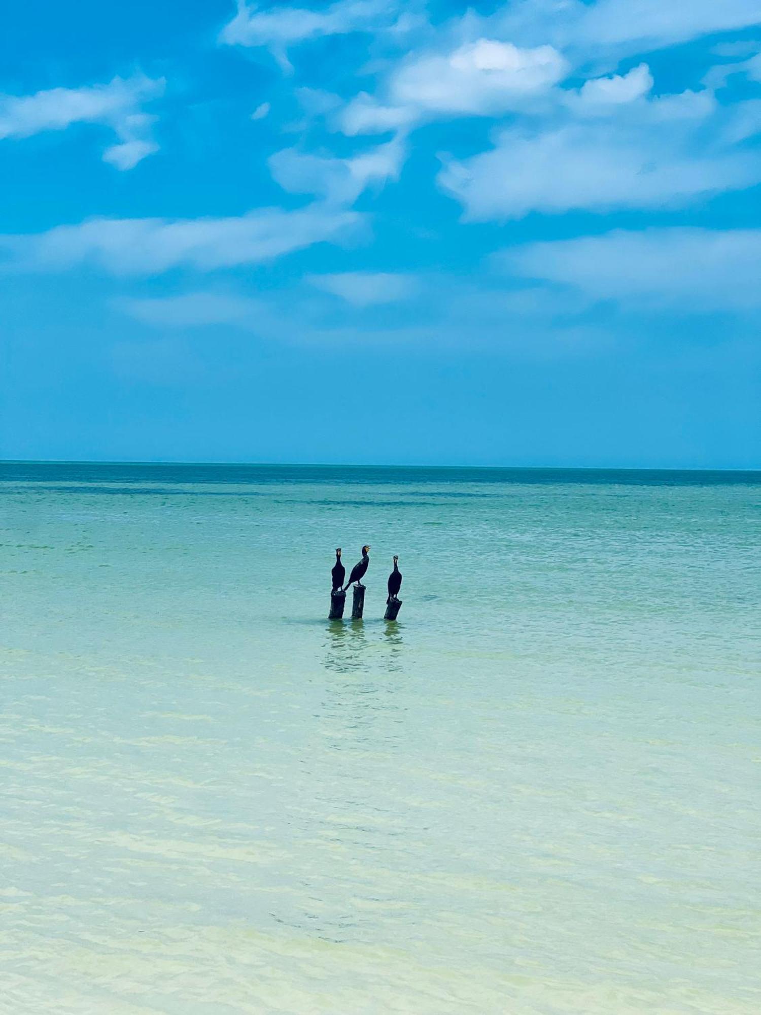 Kin * Isla Holbox