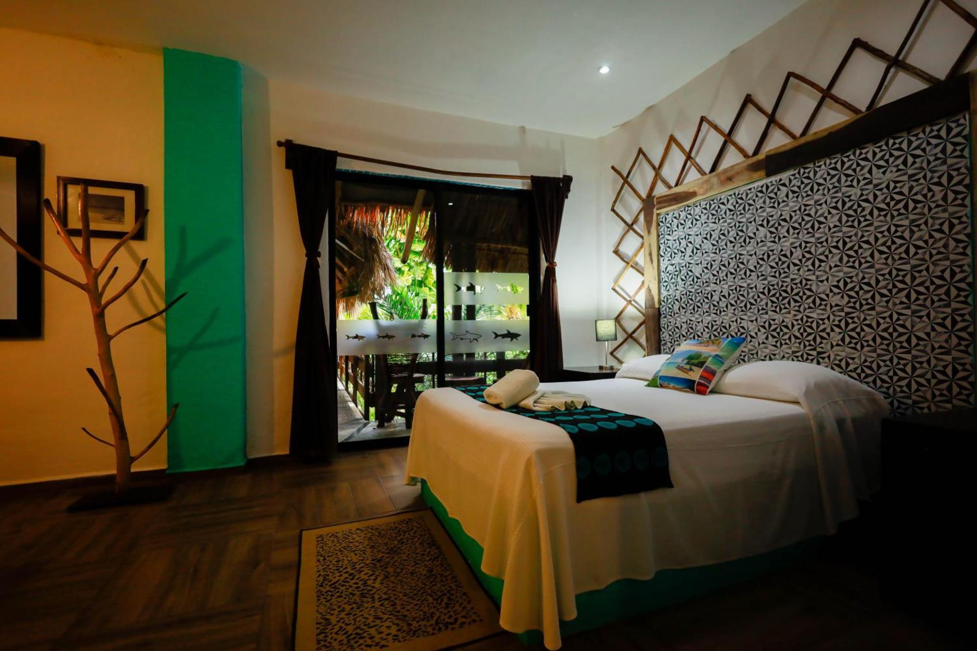 Tiburon Isla Holbox