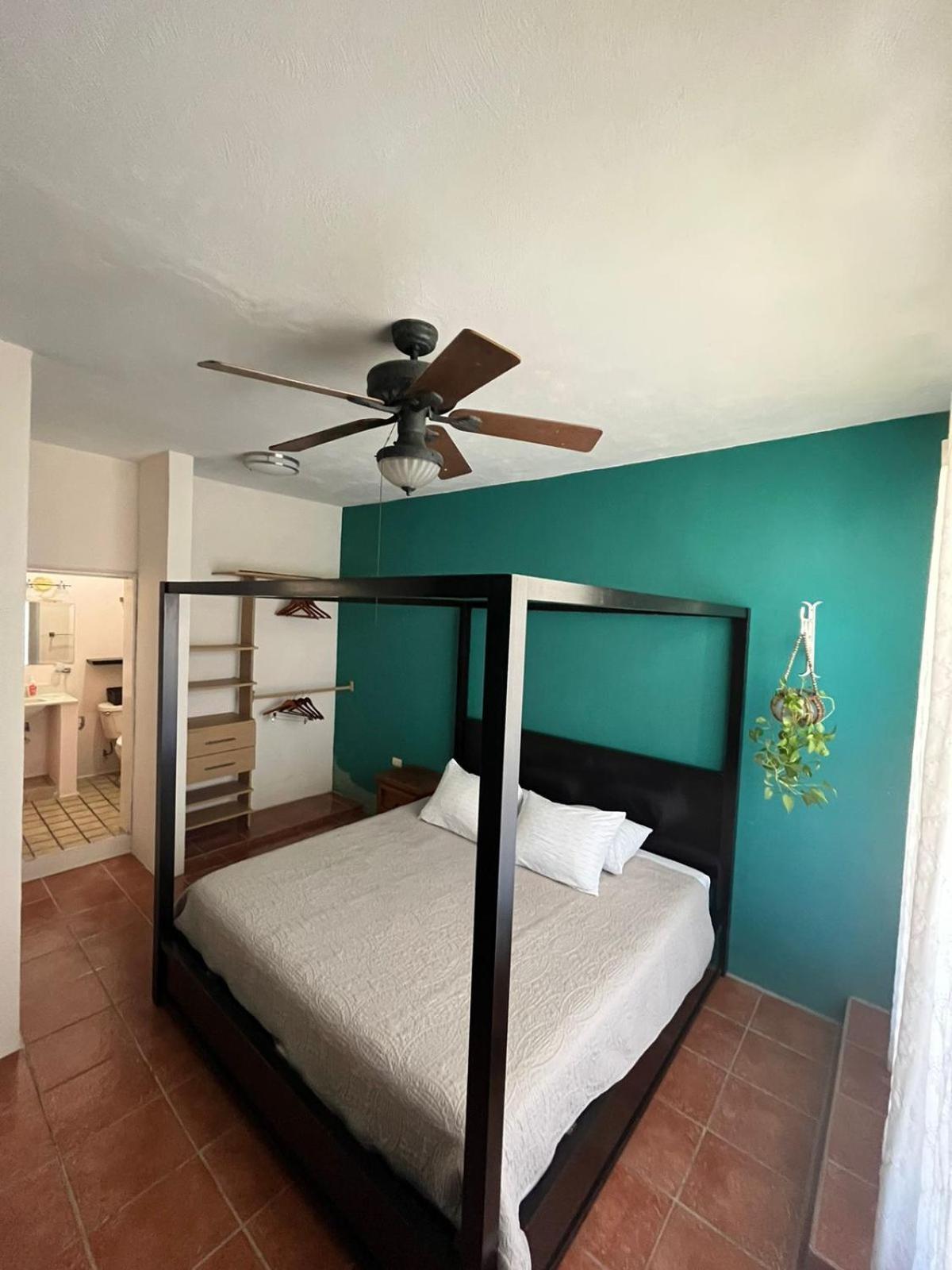 Completo Apartment Cabo San Lucas