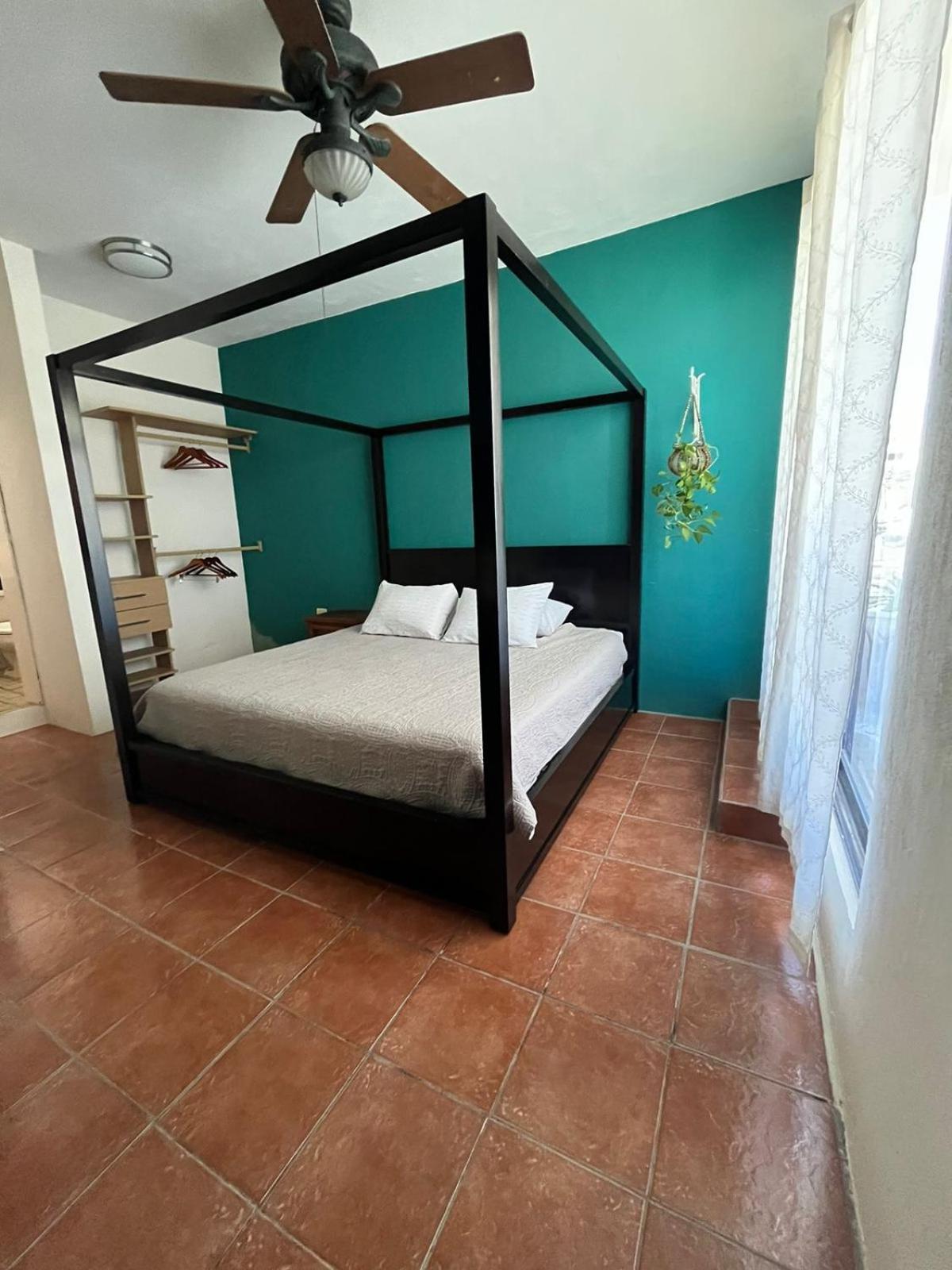 Apartment Completo