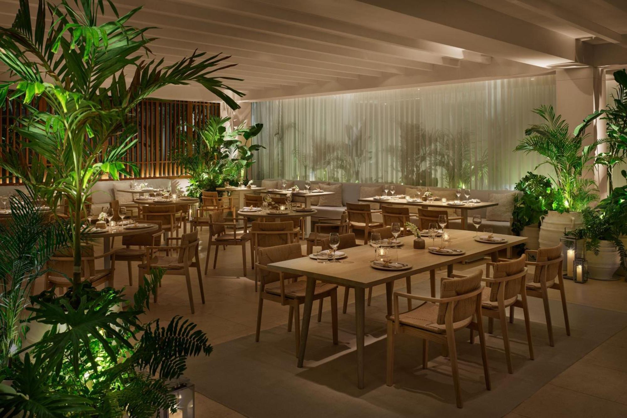 The Riviera Maya Edition At Kanai 5* Punta Maroma