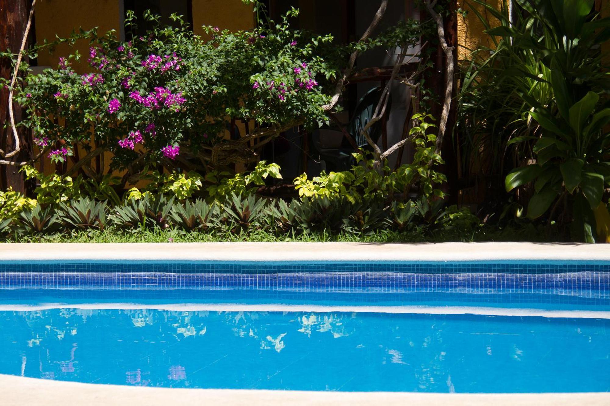 Bosque Caribe, 5th Av. Zone Hotel Playa del Carmen