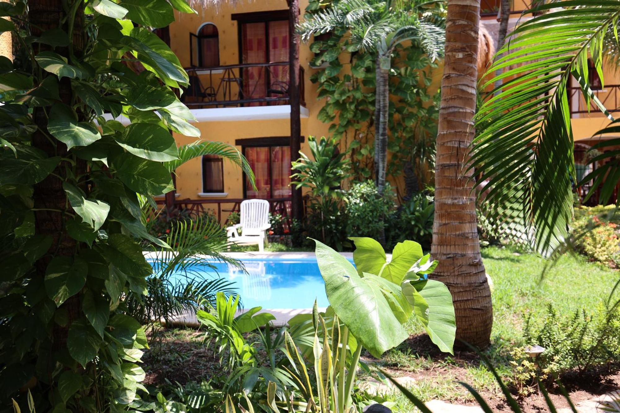 Bosque Caribe, 5th Av. Zone Playa del Carmen