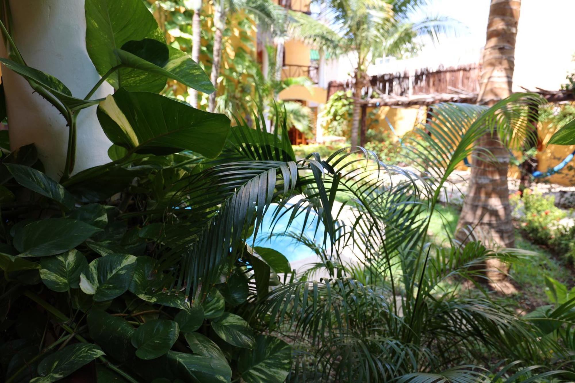 Hotel Bosque Caribe, 5th Av. Zone Playa del Carmen