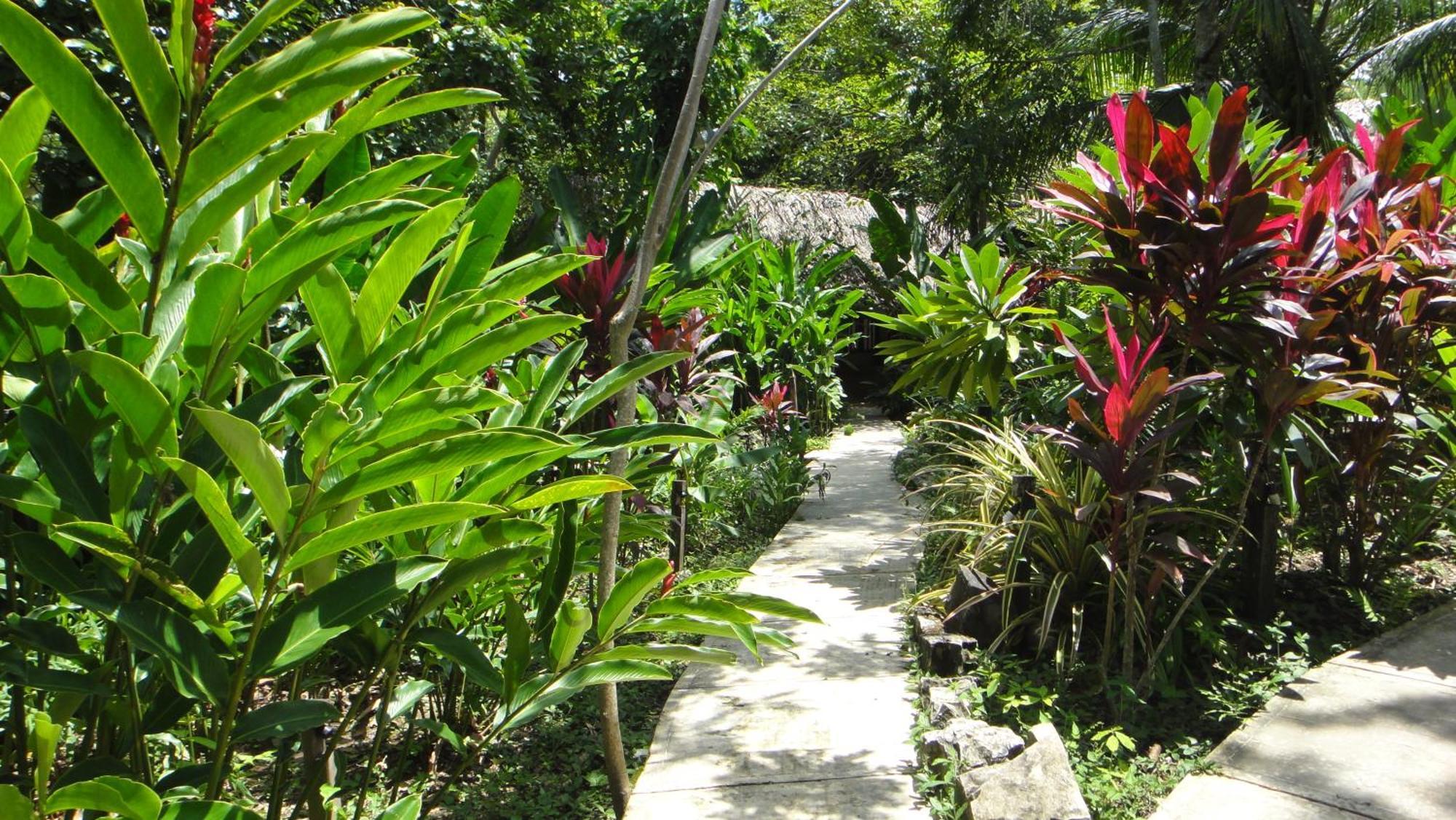 La Aldea Del Halach Huinic Hotel Palenque