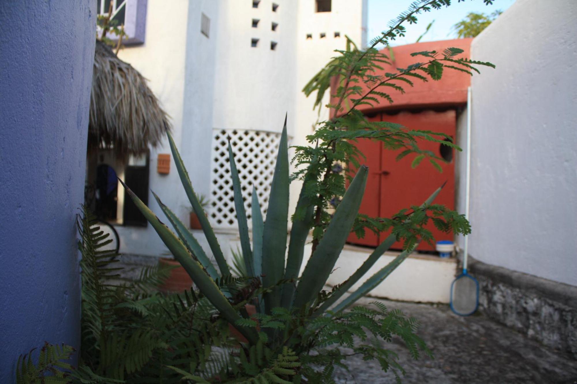 Amaranto 3* Cozumel