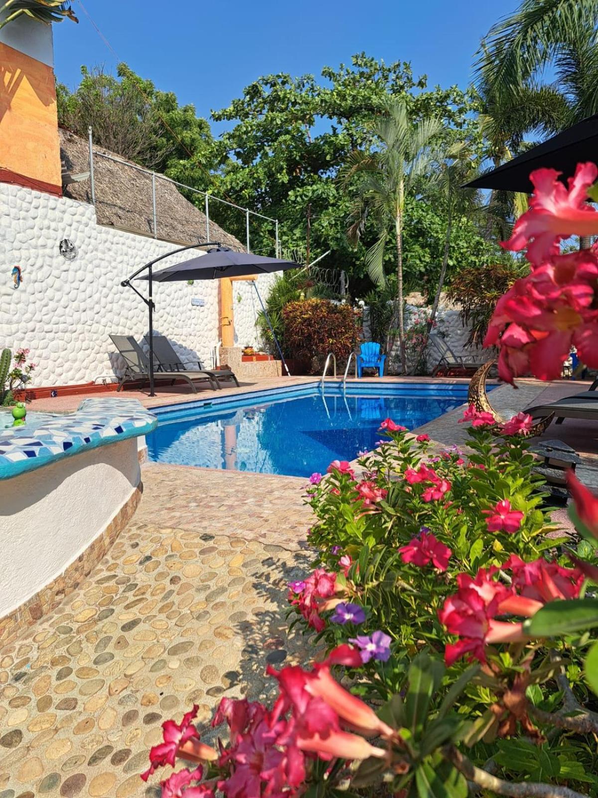 Hotel Hotelito Swiss Oasis - Playa Zicatela - Adults Only 3*