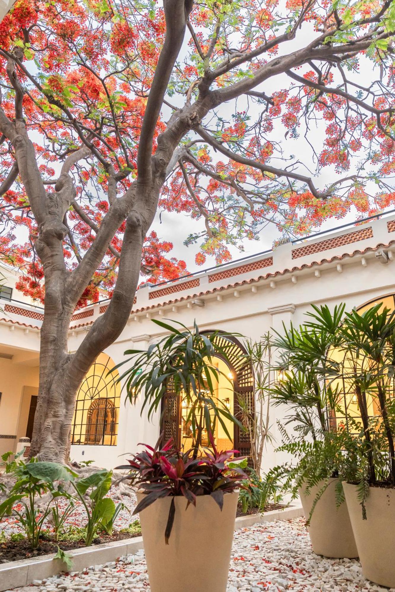 Hotel Gran Mexico By Solaris Tehuacan