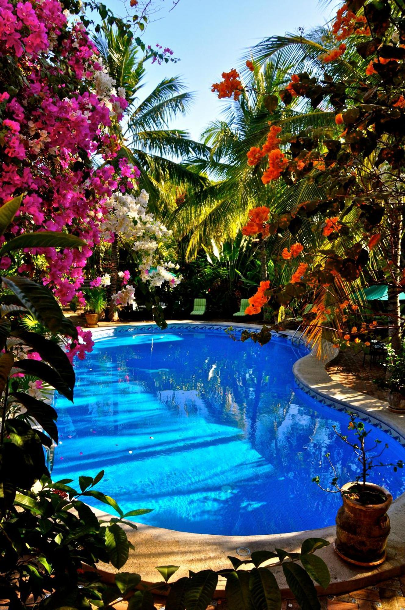 Hotel La Hacienda 4*