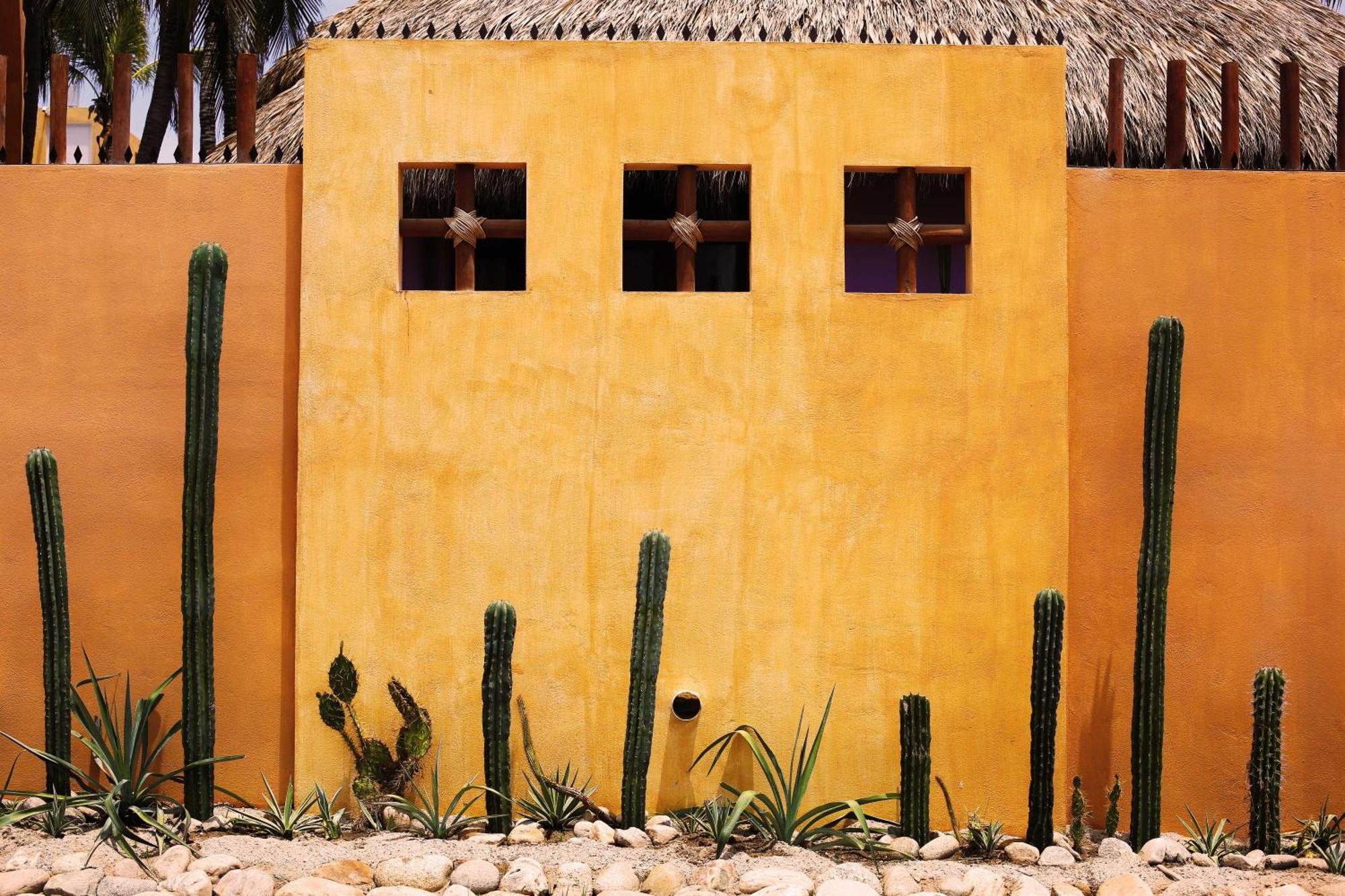 One Love * Puerto Escondido (Oaxaca)