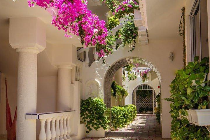 Mar Del Cabo By Velas Hotel San Jose del Cabo