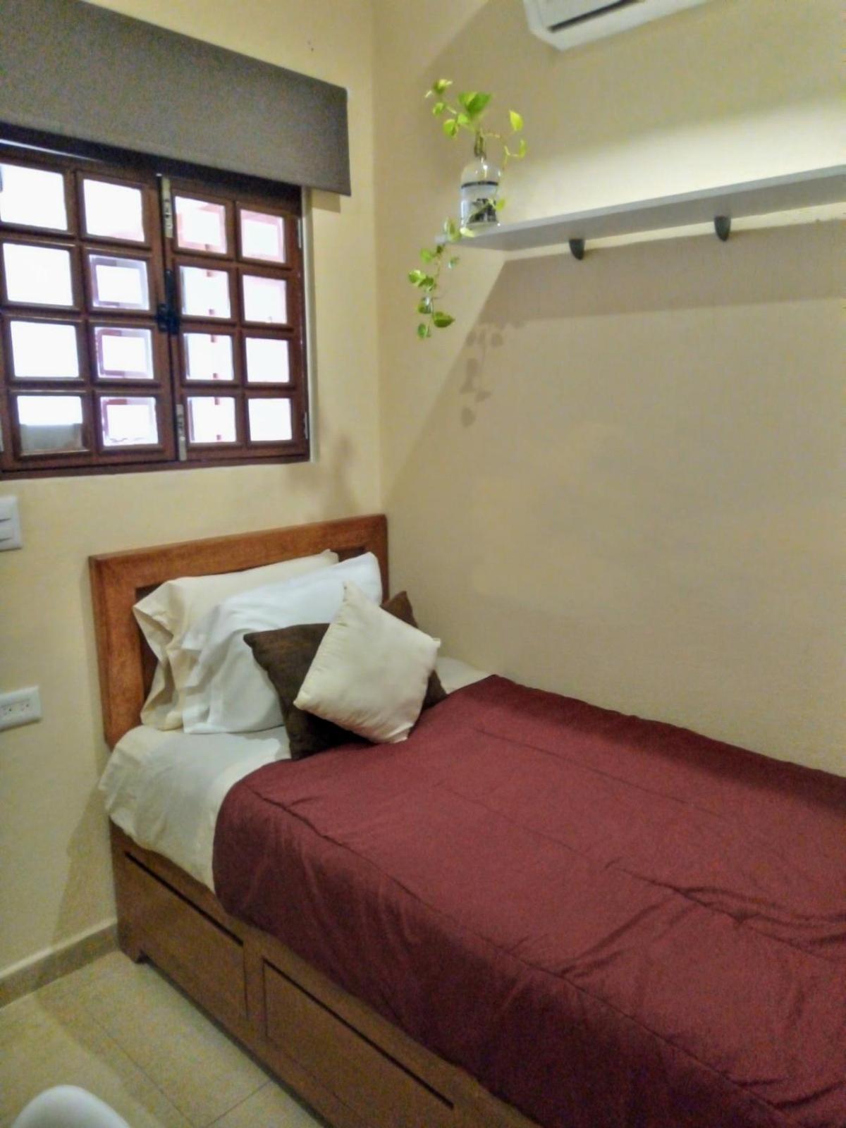 Pecari 3* Cancun