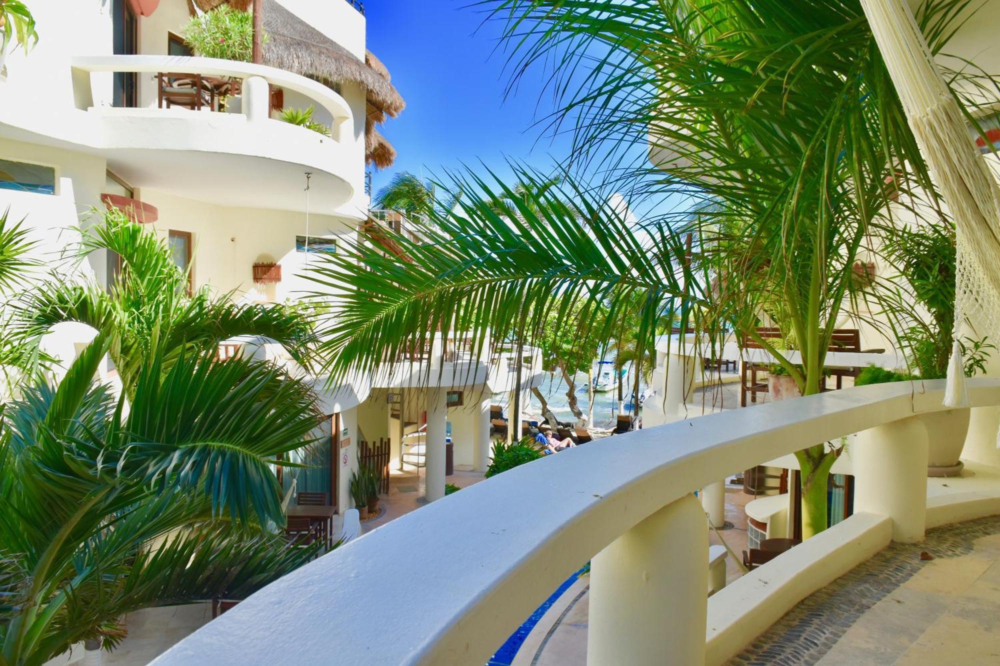 Playa Palms