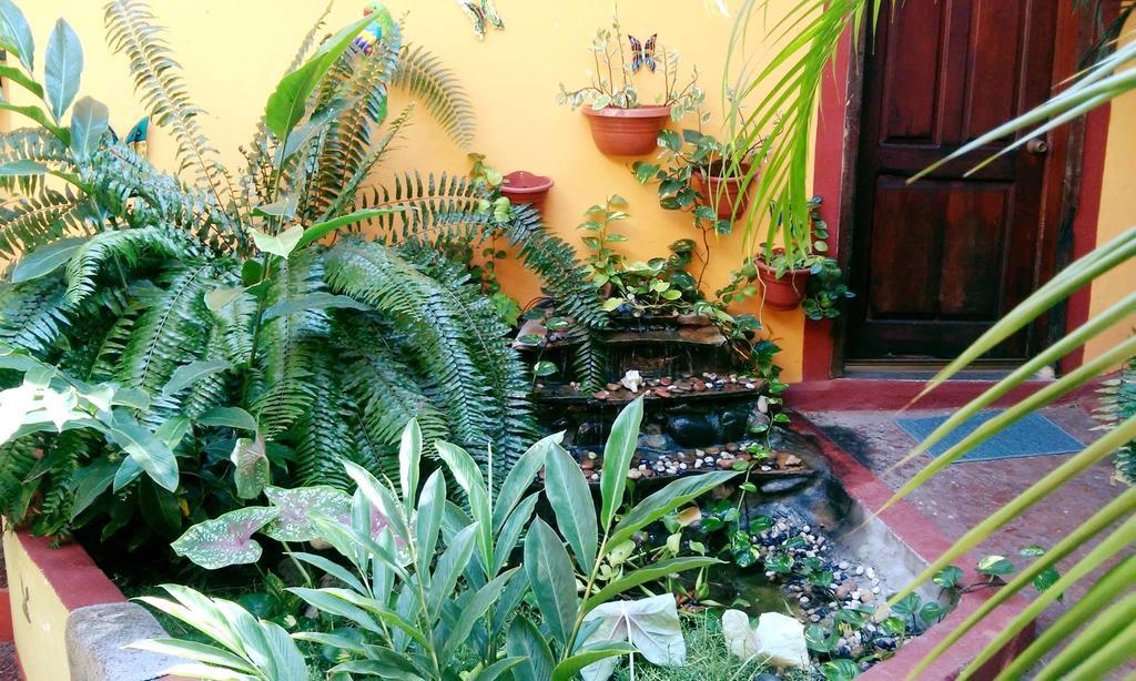 La Cabana Hotel 3*