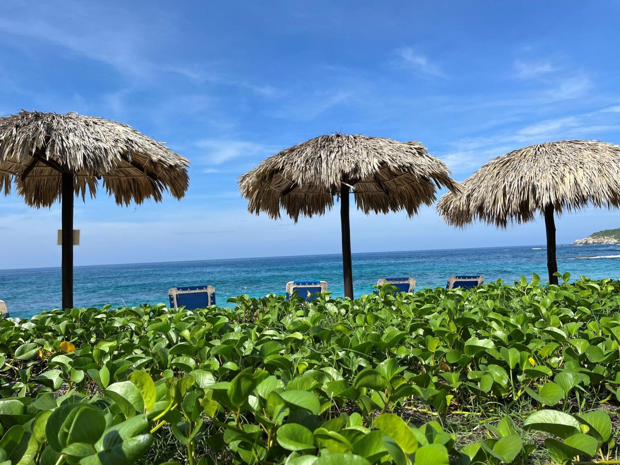 Hotel Manta Raya - Right On The Cuatunalco