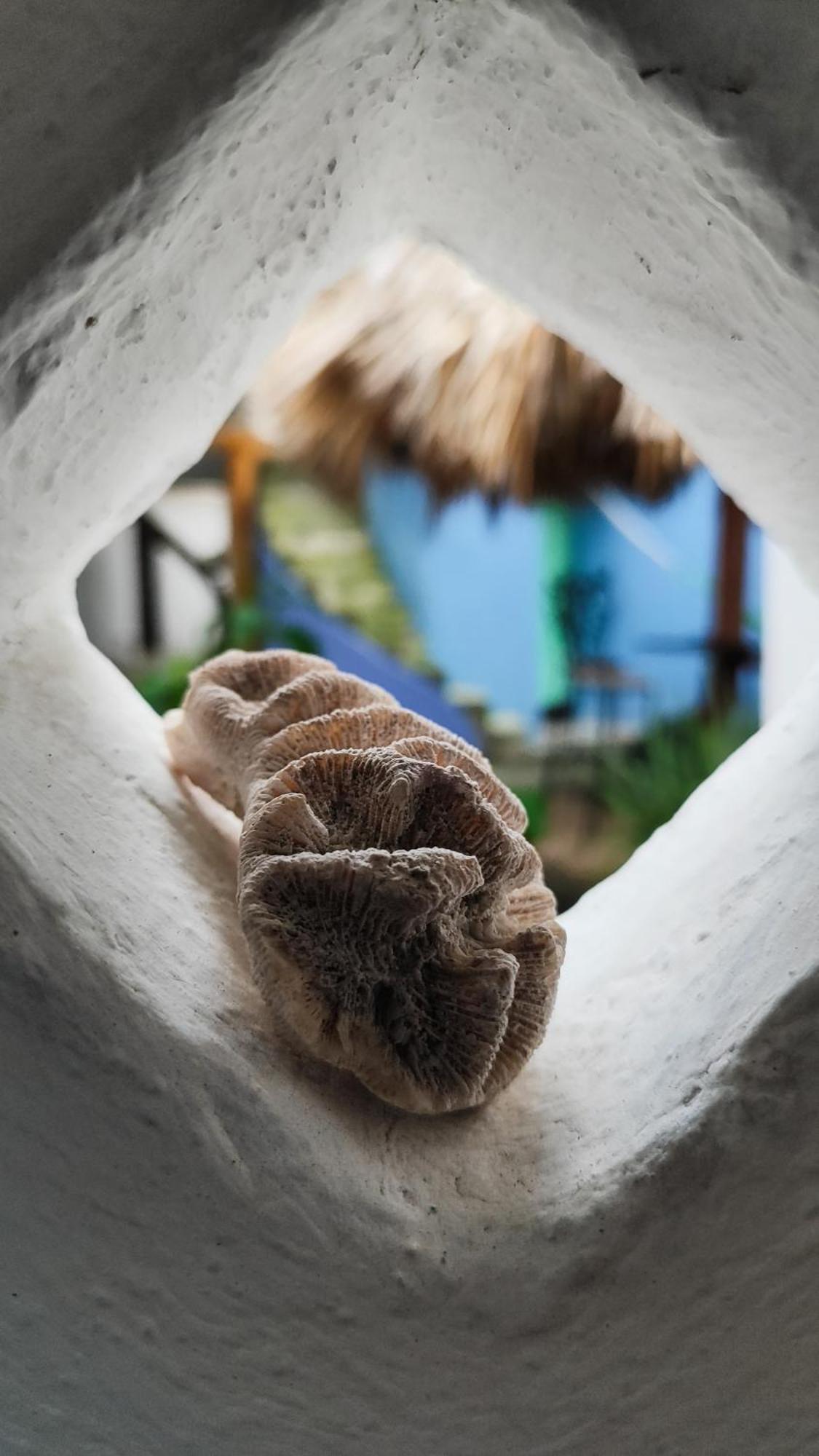 Bed & Breakfast Amaranto